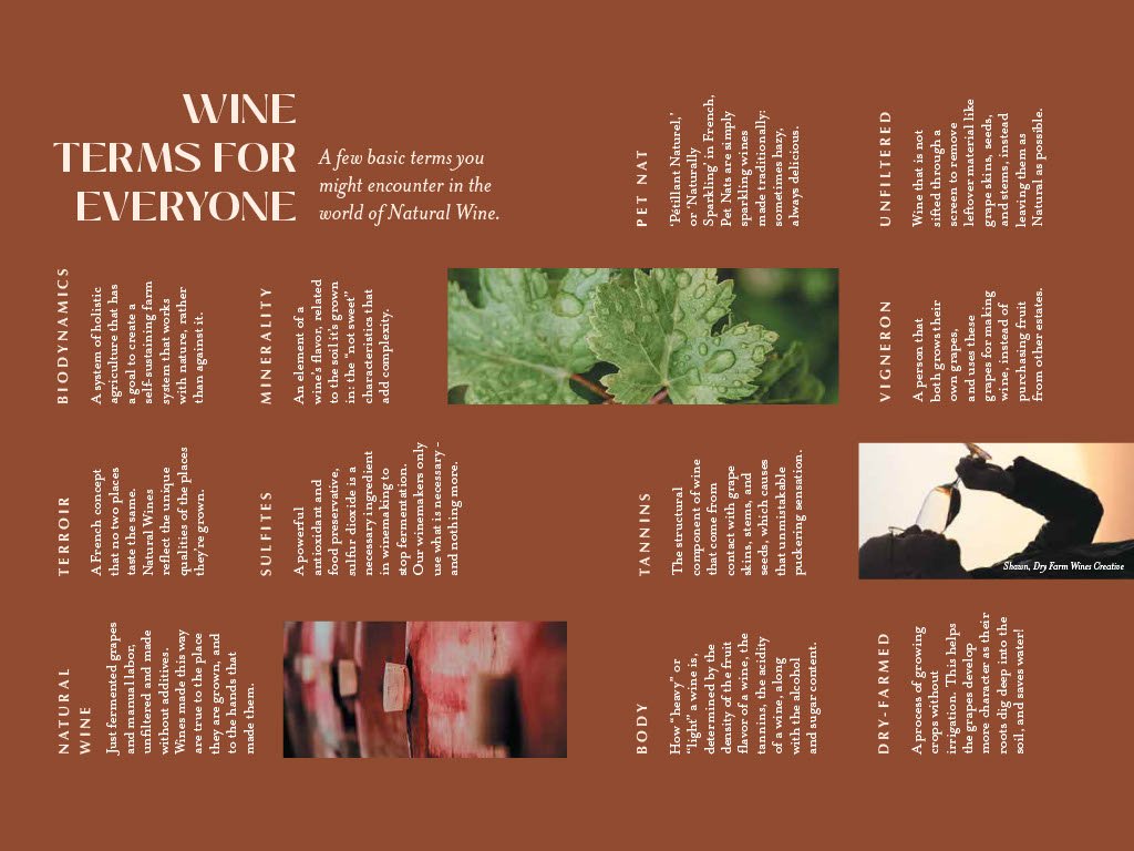 22-DFW-Booklet-part-101024_1.jpg