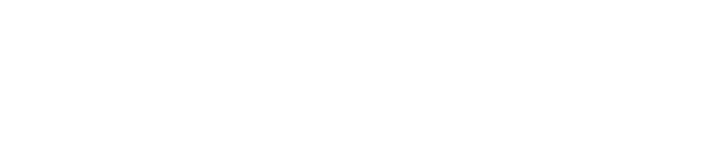 White Repair Fair logo