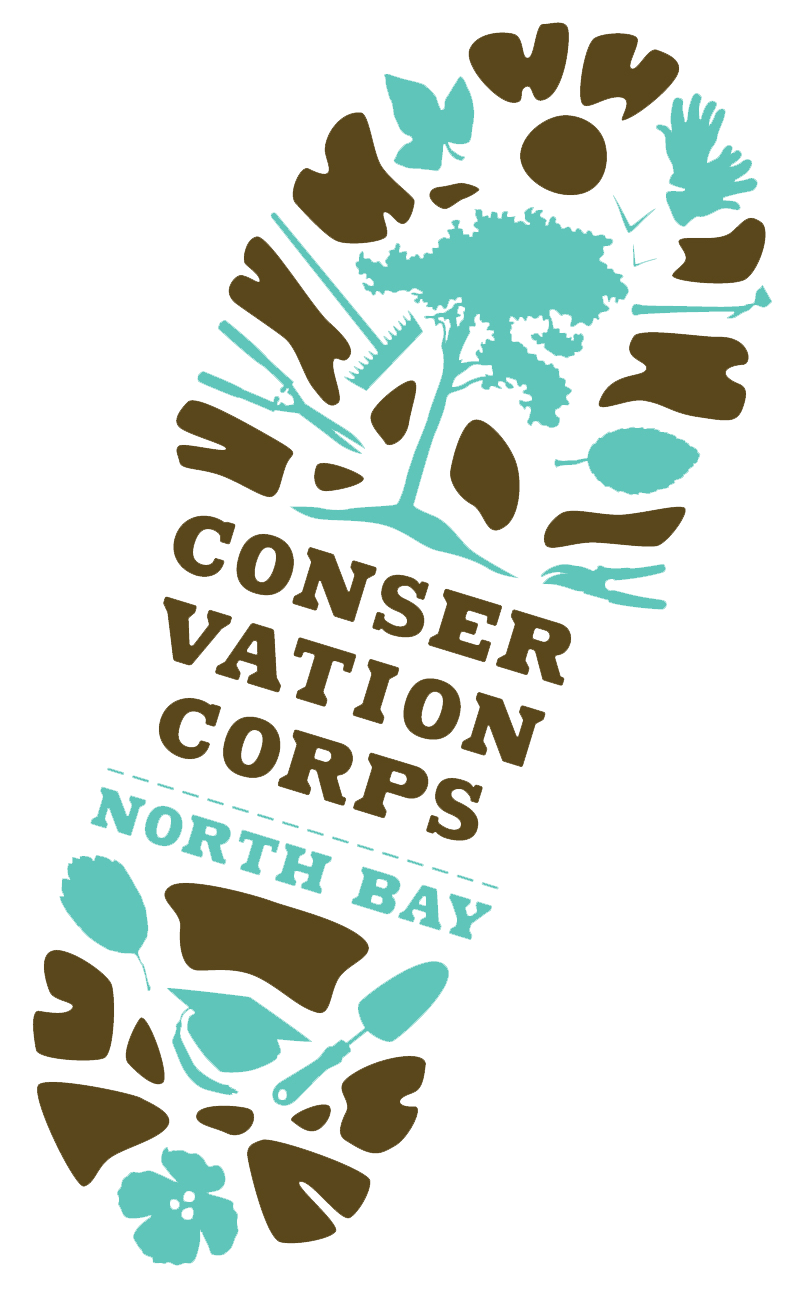 Boot Transparent.png