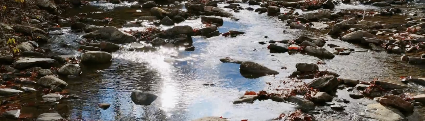 Screenshot 2026-01-12 at 19.54.14.png