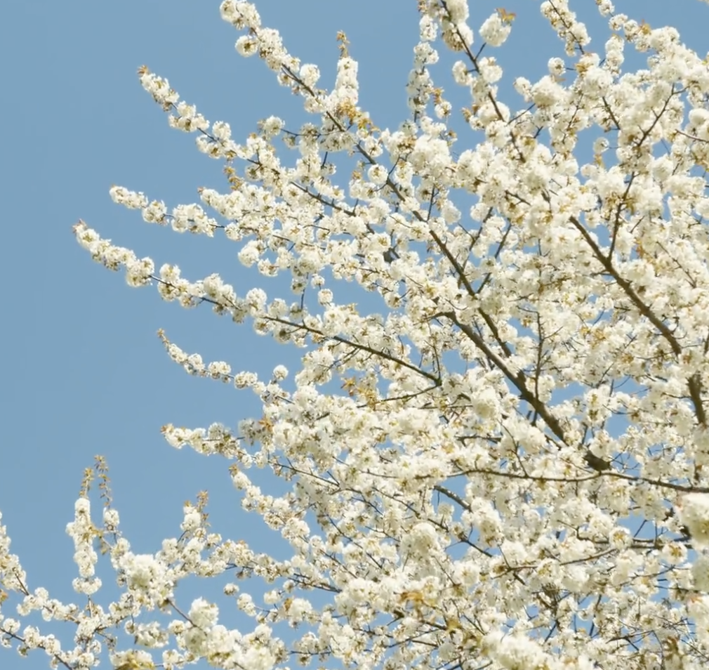 Screenshot 2026-01-12 at 19.56.23.png