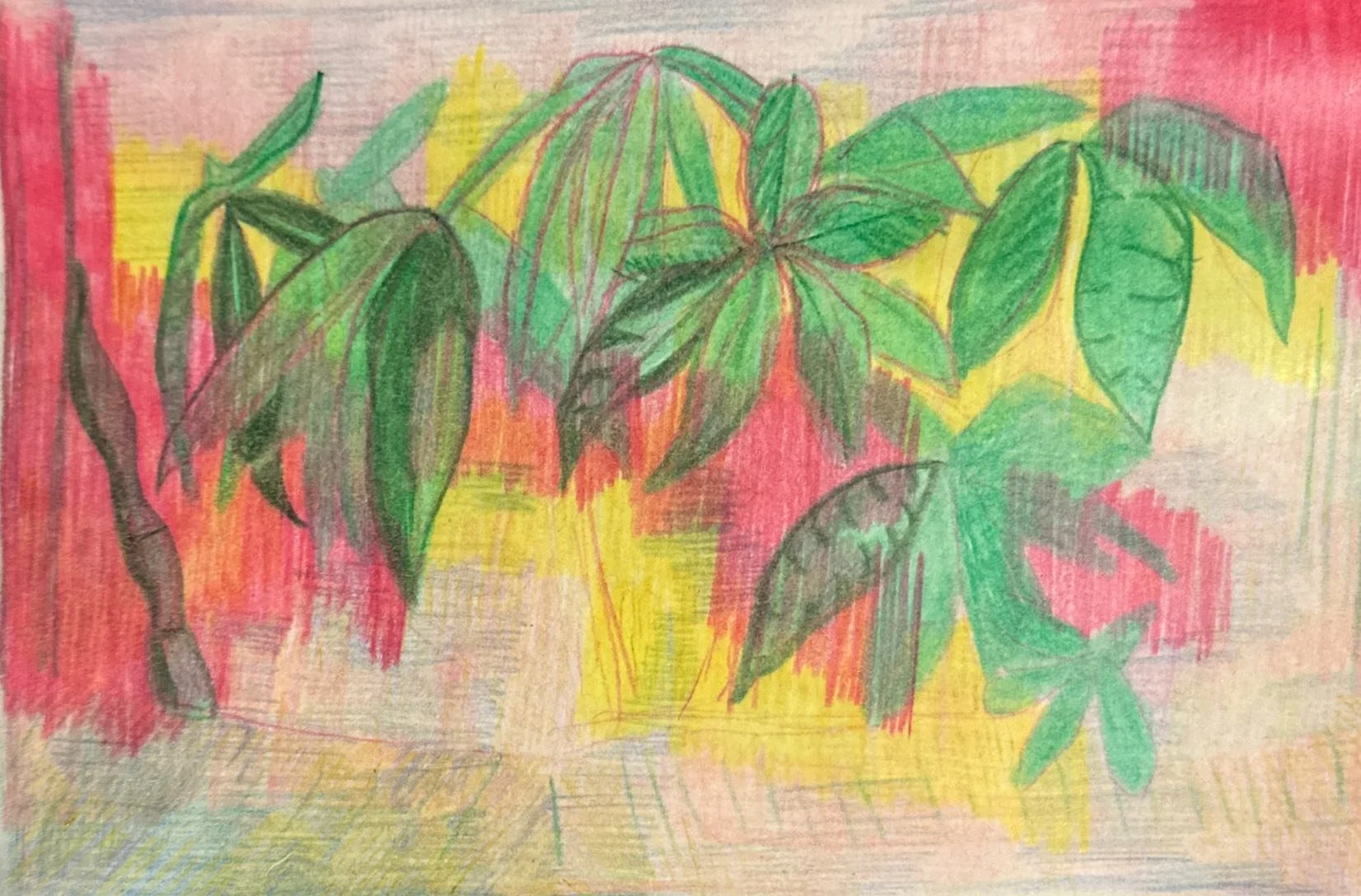 Plants, Paper, 2026, 14.8 x 10.5 cm 