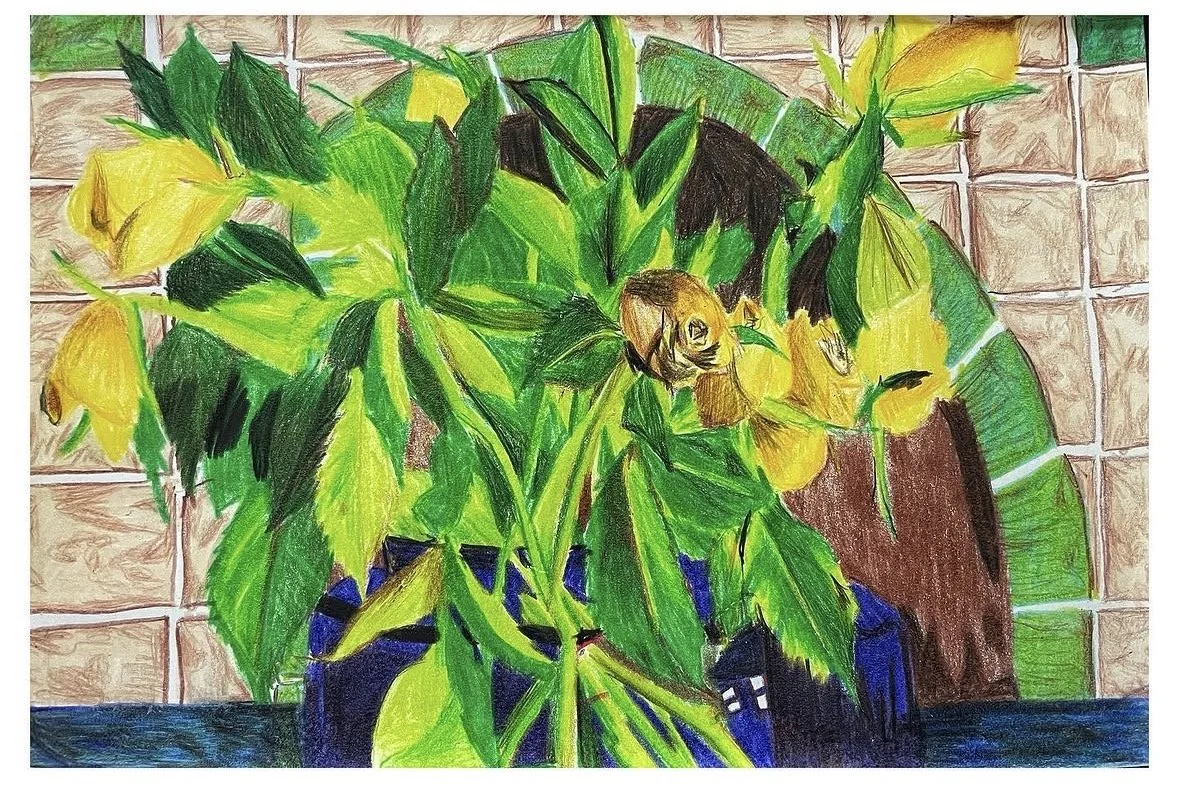 "Yellow Roses in London" 
Coloured Pencil Crayon on Paper, 
2022, 
H14 x W21 cm