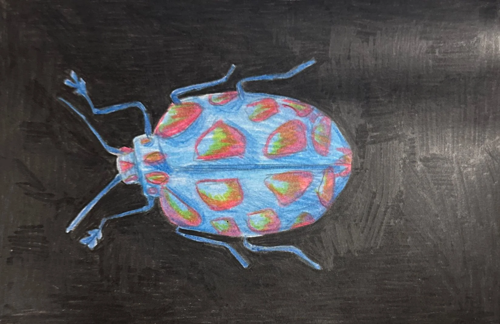 Beetle, Paper, 2026, 14.8 x 10.5 cm 