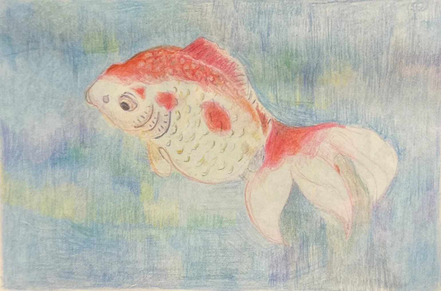 Goldfish, Paper, 2026, 14.8 x 10.5 cm 