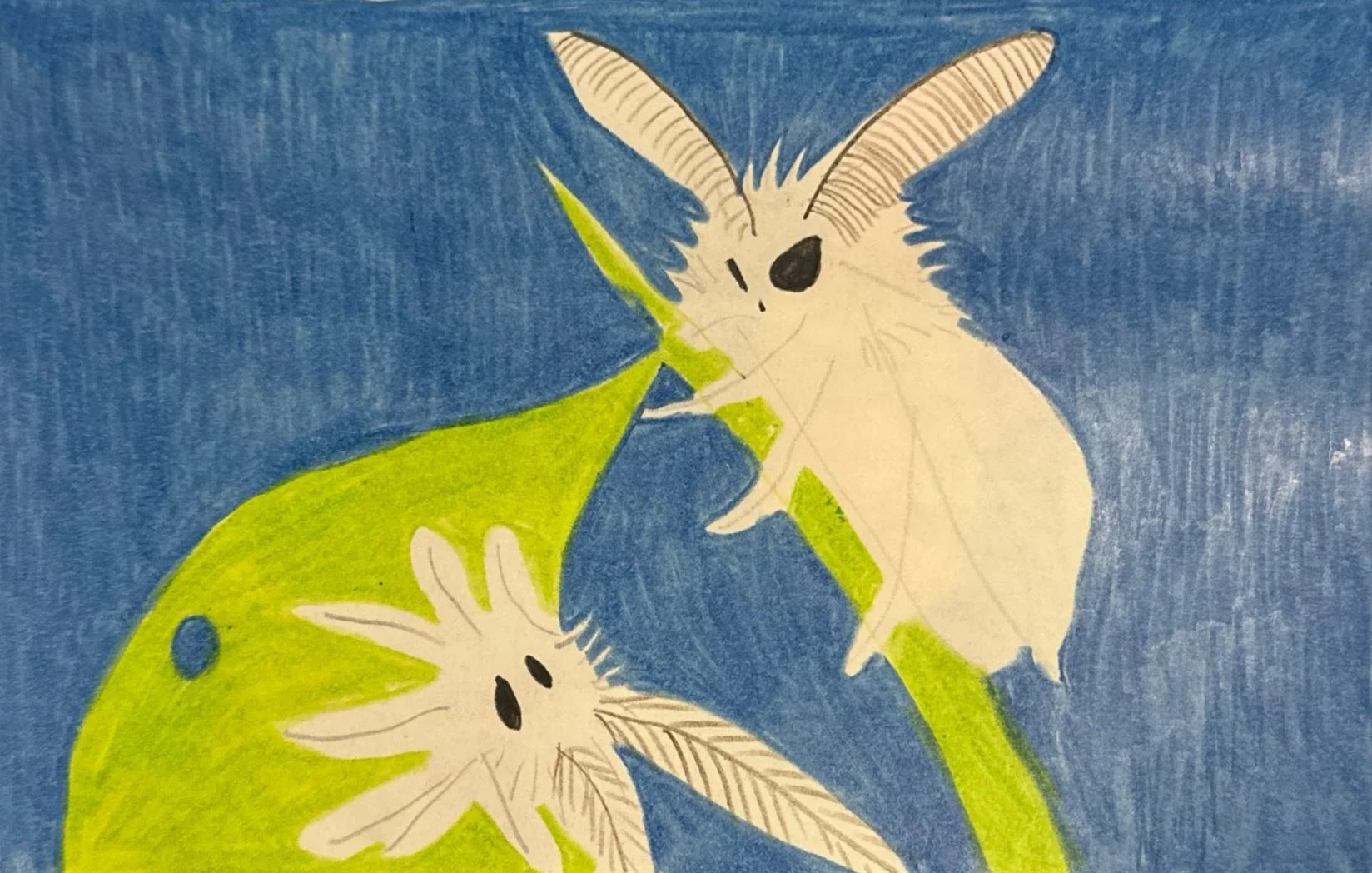 Moth, Paper, 2026, 14.8 x 10.5 cm 