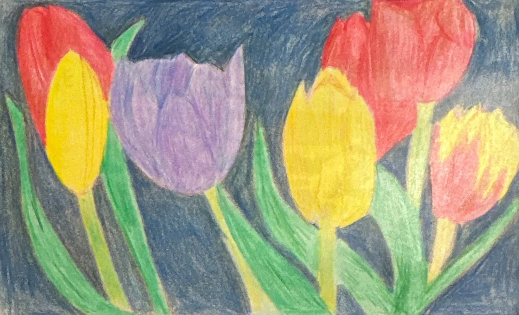 Tulip, Paper, 2026, 14.8 x 10.5 cm 