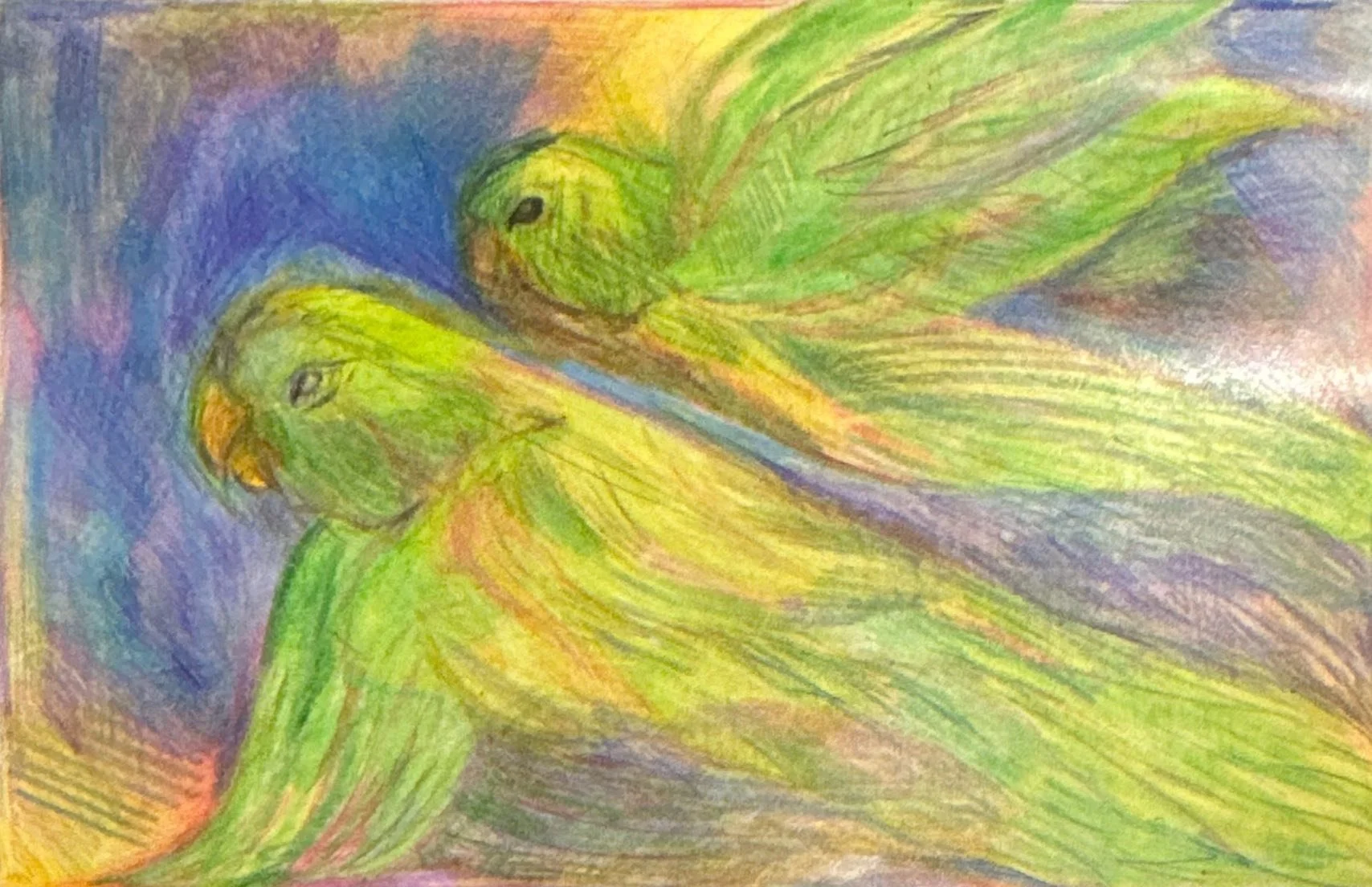 Birds, Paper, 2026, 14.8 x 10.5 cm 