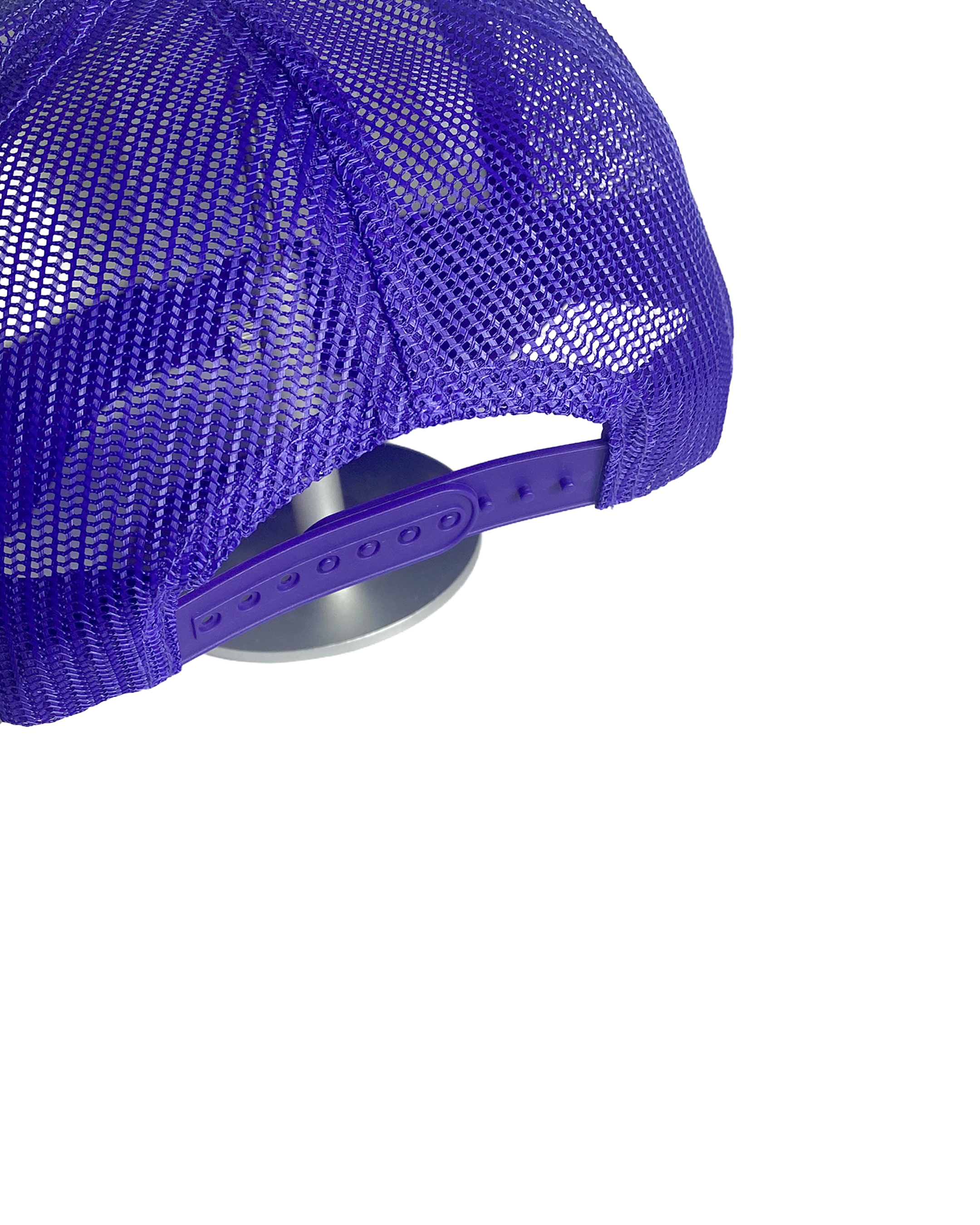 purpletrainbackfinal.png