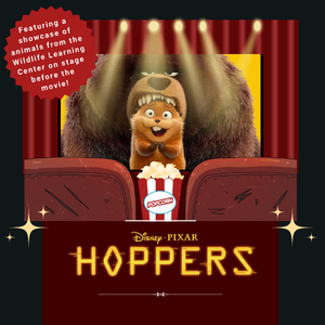 Party Book: Hoppers Movie Screening
