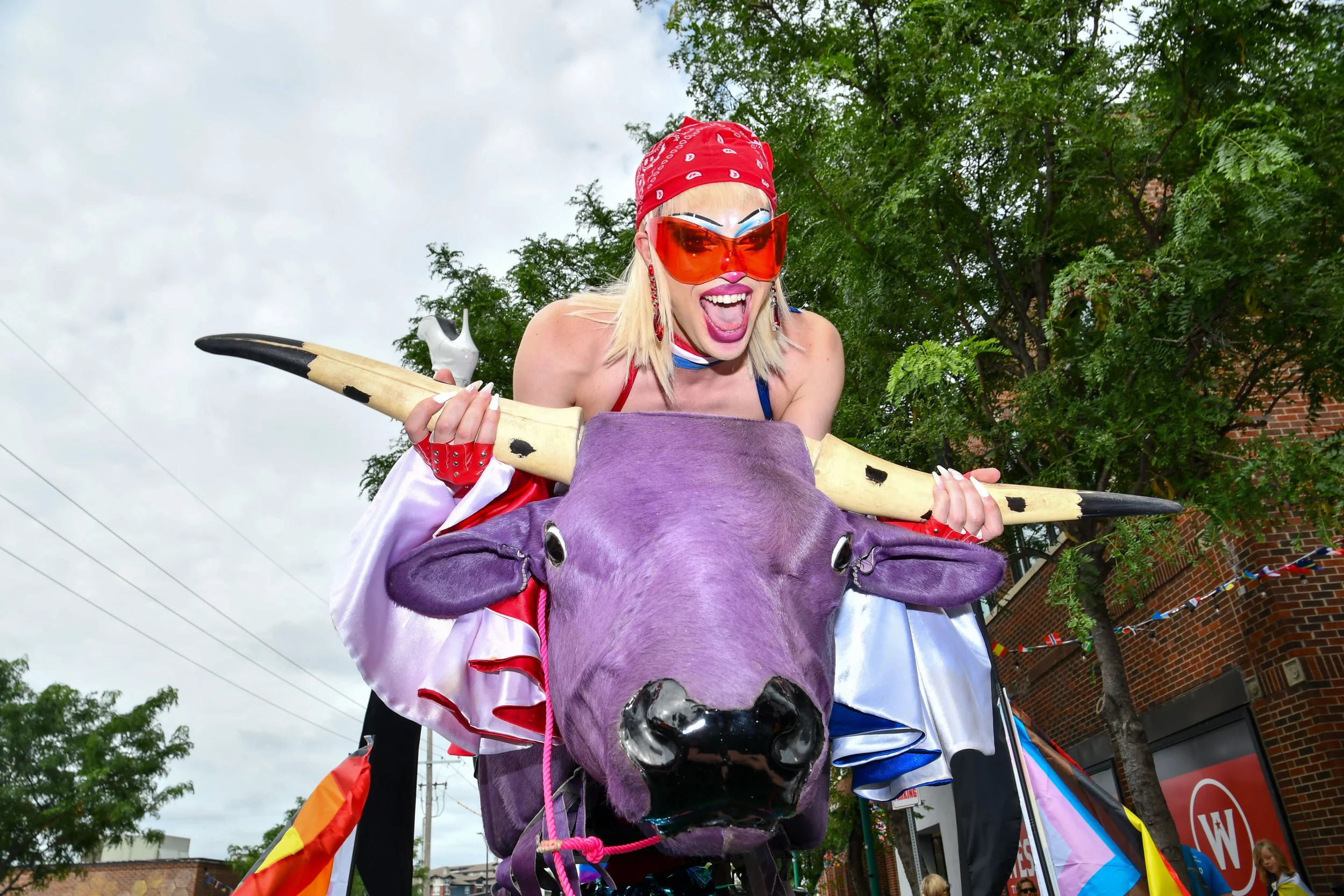 DSC_3772.jpg