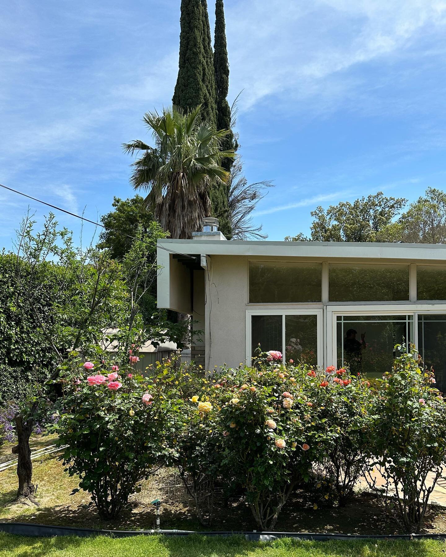 Quintessential Cali mid-century modern deep in the Valley - with a dreamy garden to go with it 🌼

4 bedroom | 2 bathrooms
$799,000