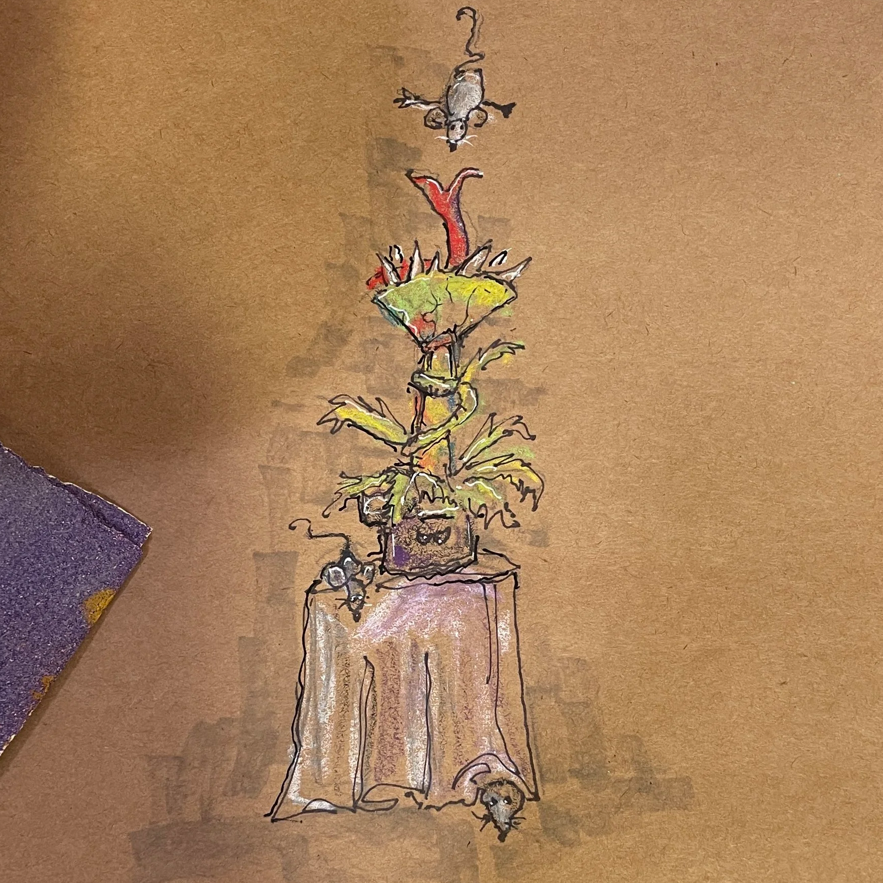 IMG_5069.png