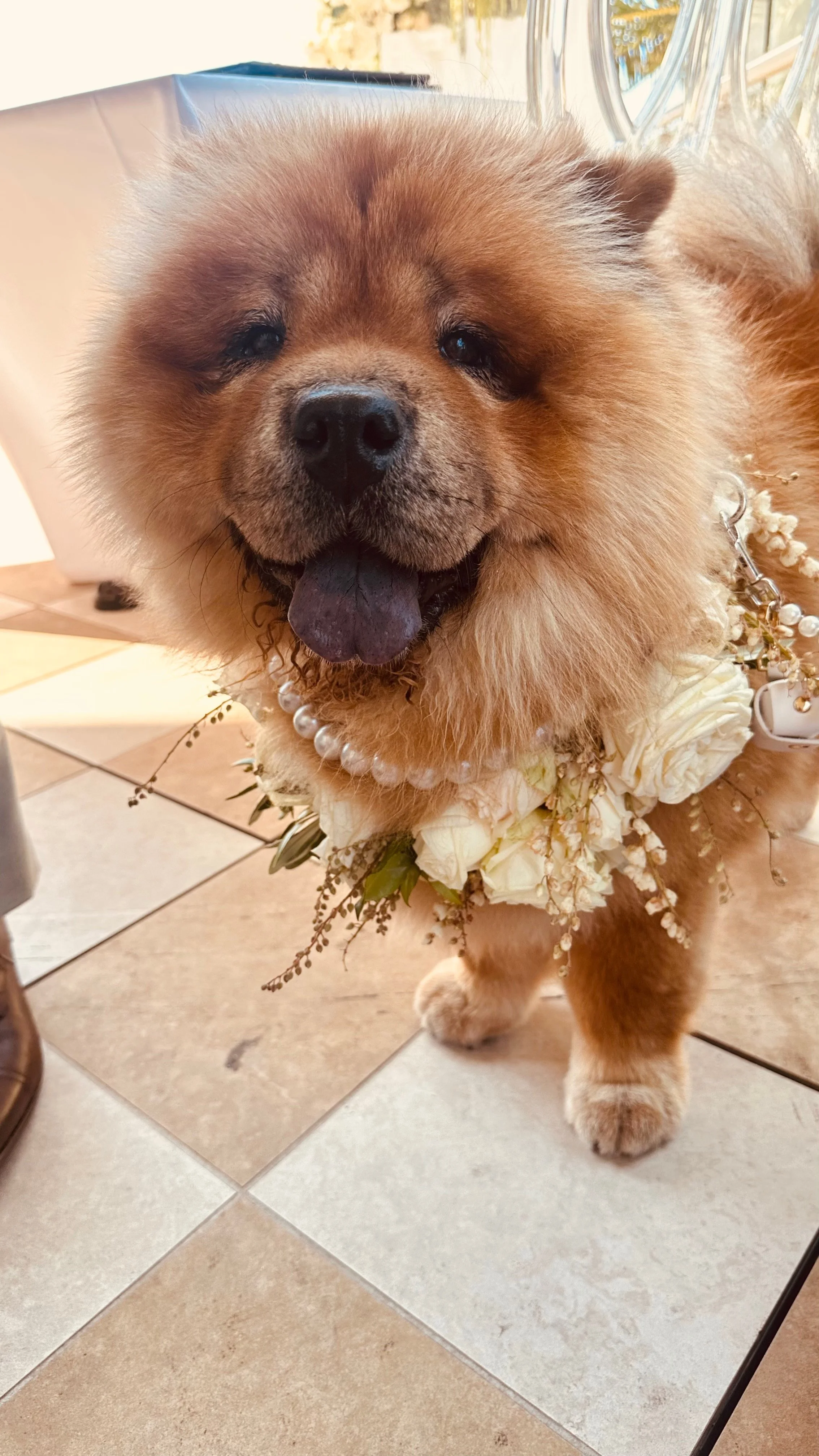 Wedding reception in Greensborough - Juliana Kendi Melbourne civil celebrant