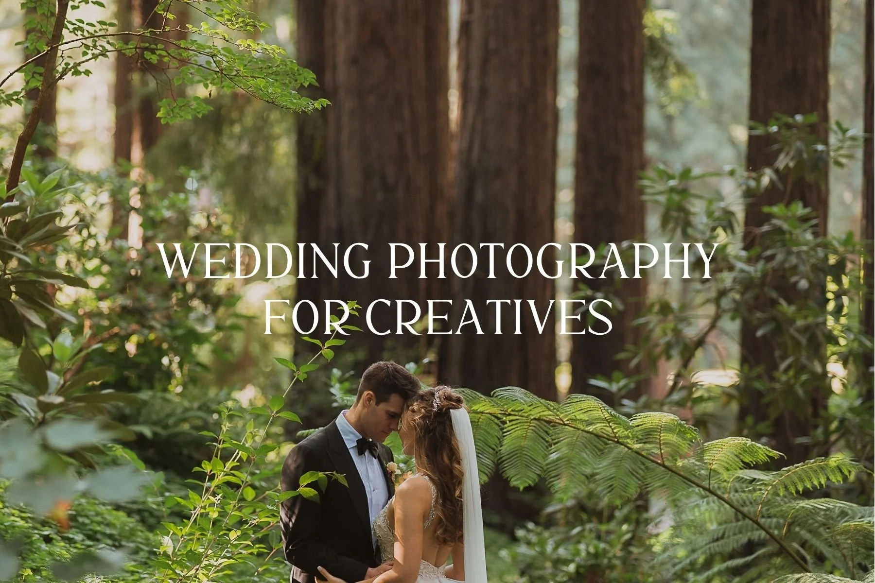 Couples in the redwoods with foreheads touching