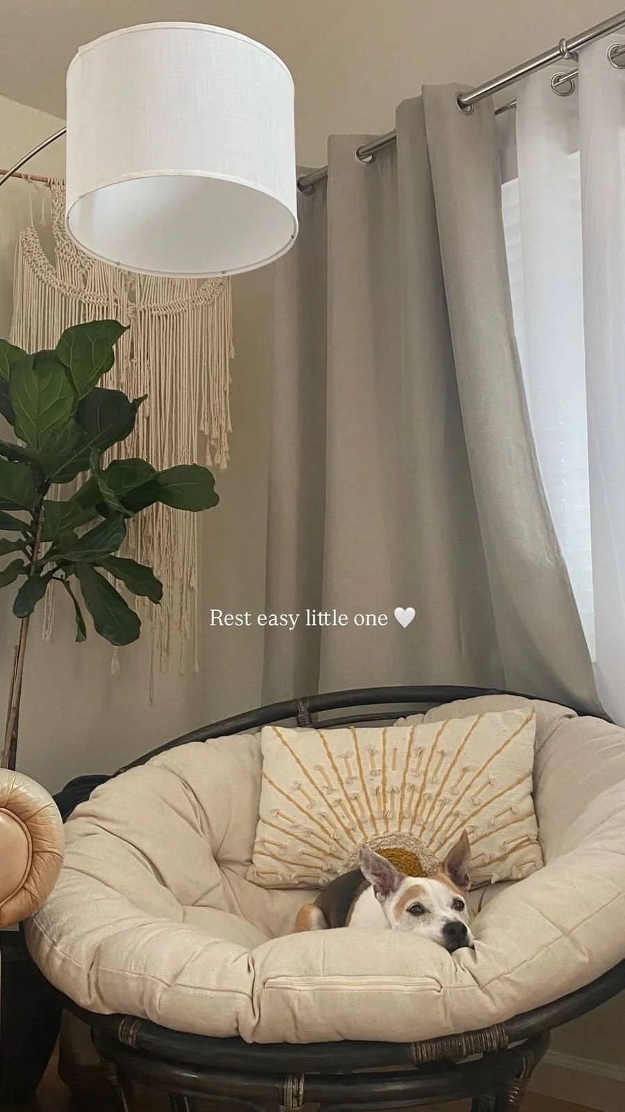 WhatsApp Image 2026-02-20 at 16.40.19.jpeg