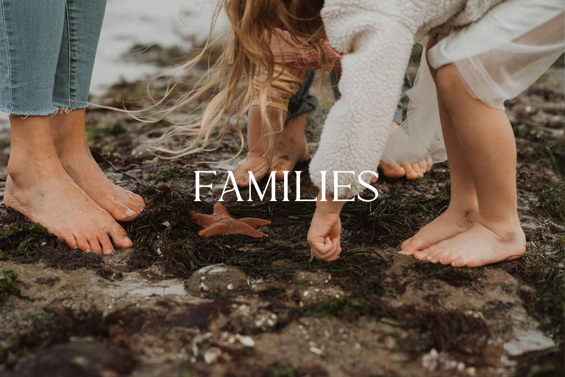 Family at the beach touching a starfish