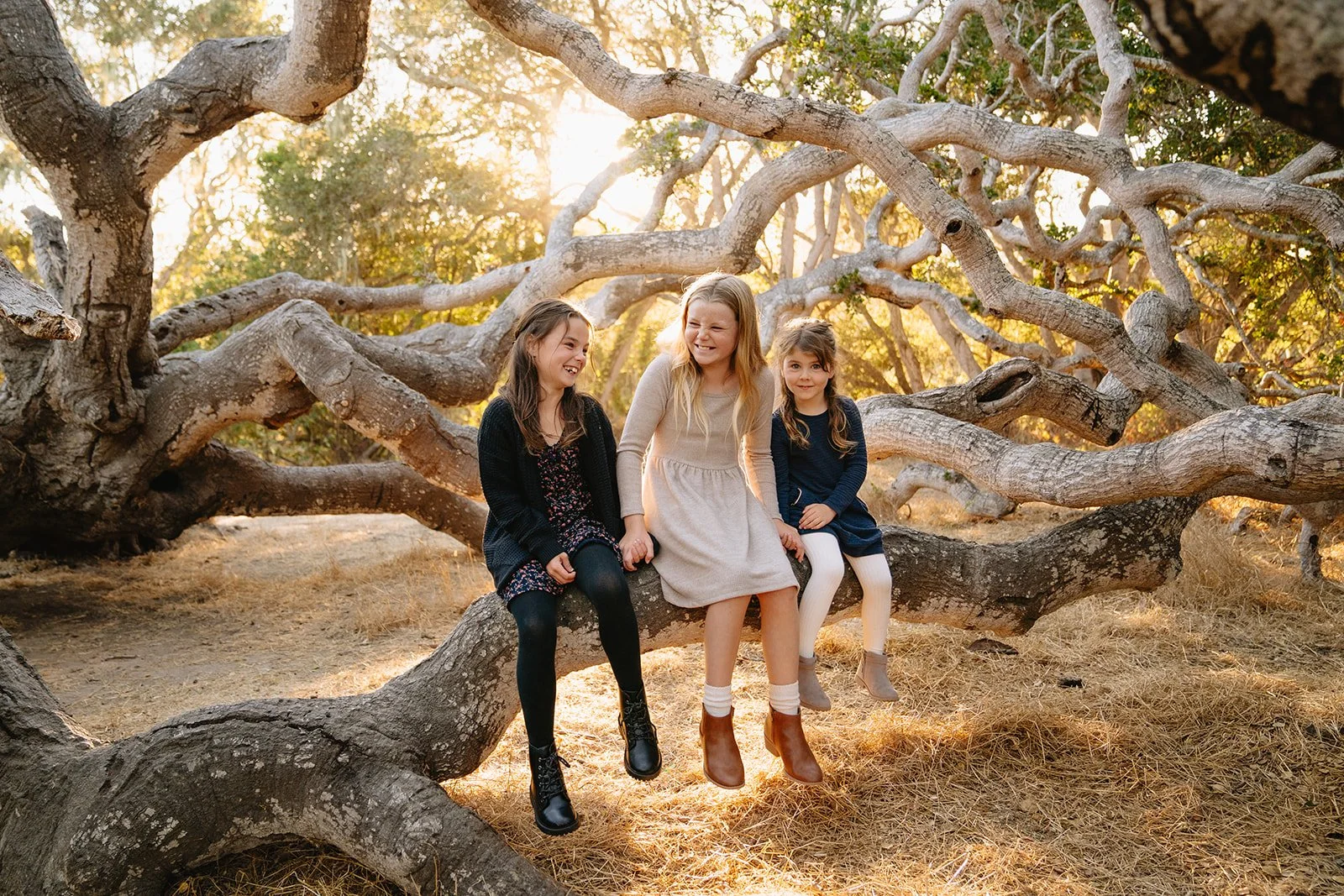 Three young girls sitting on a large fallen tree trunk in a wooded area during sunset, smiling and laughing together.
