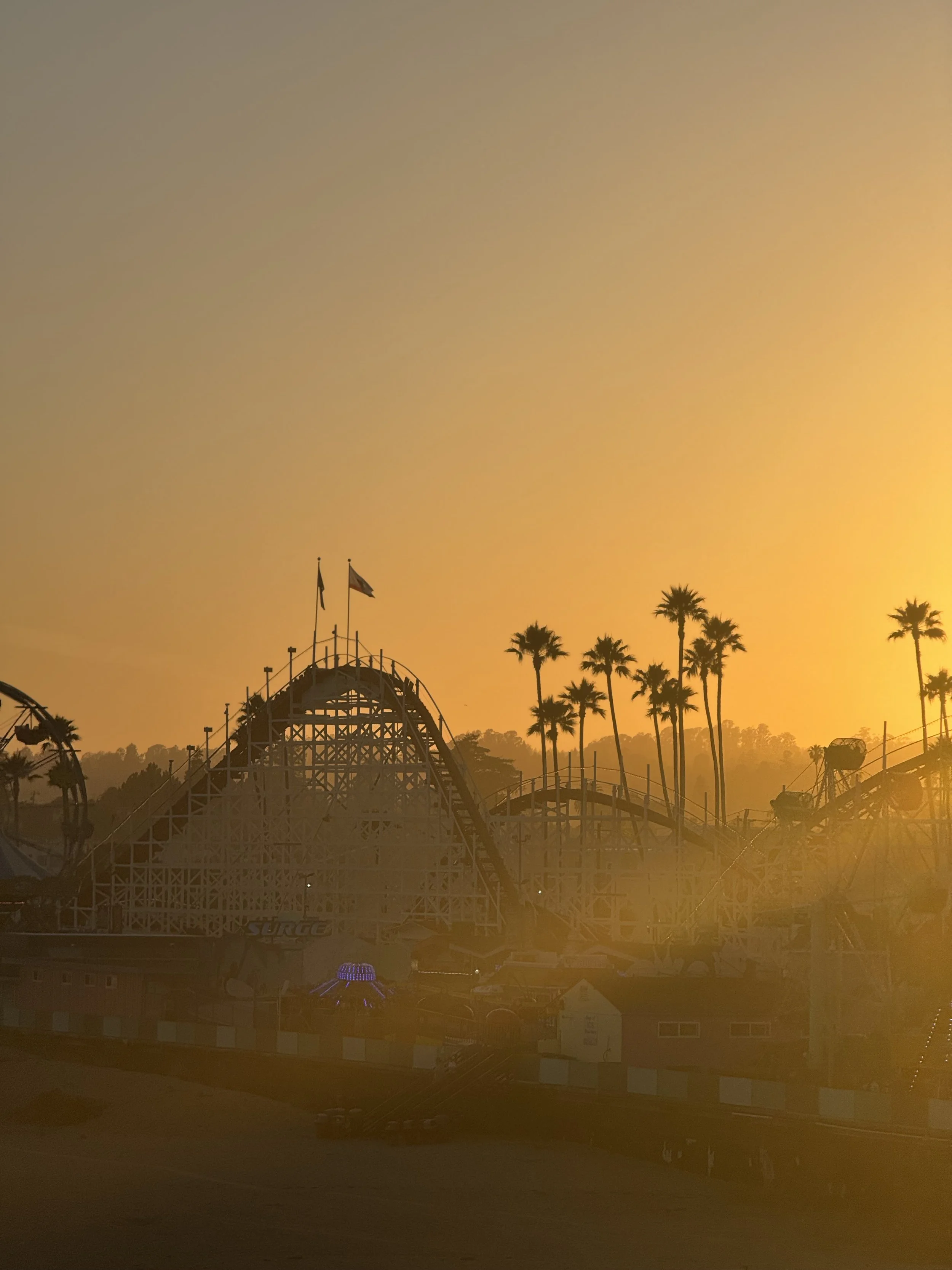 Sunset over an amusement park with a roller coaster, palm trees, and flags.