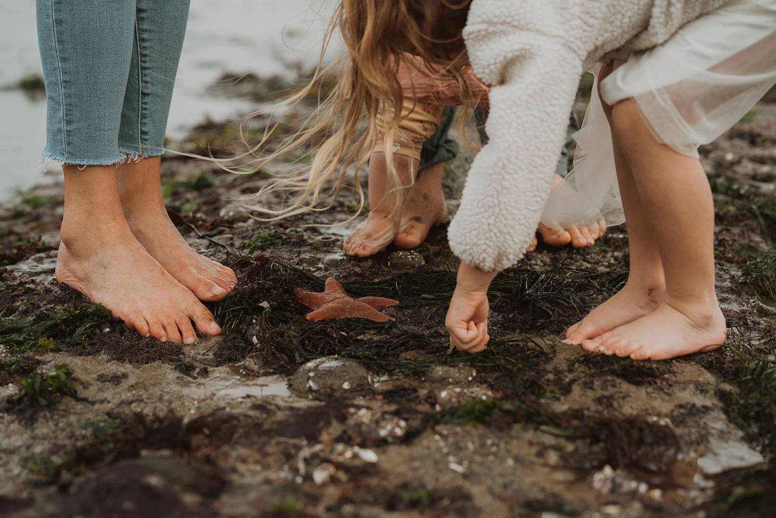 Family of four exploring four Mile beach
