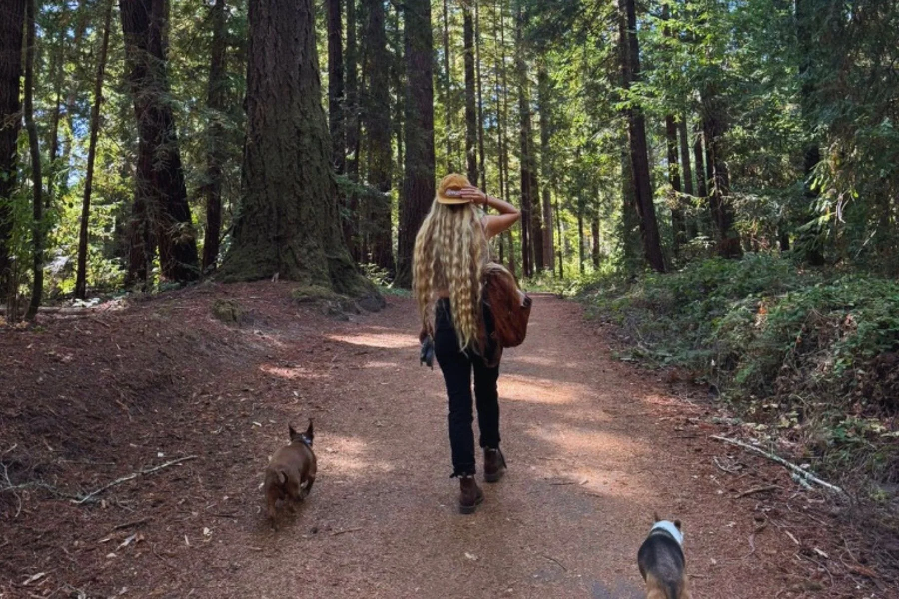 A woman walking on a dirt trail through a dense forest, accompanied by two dogs.