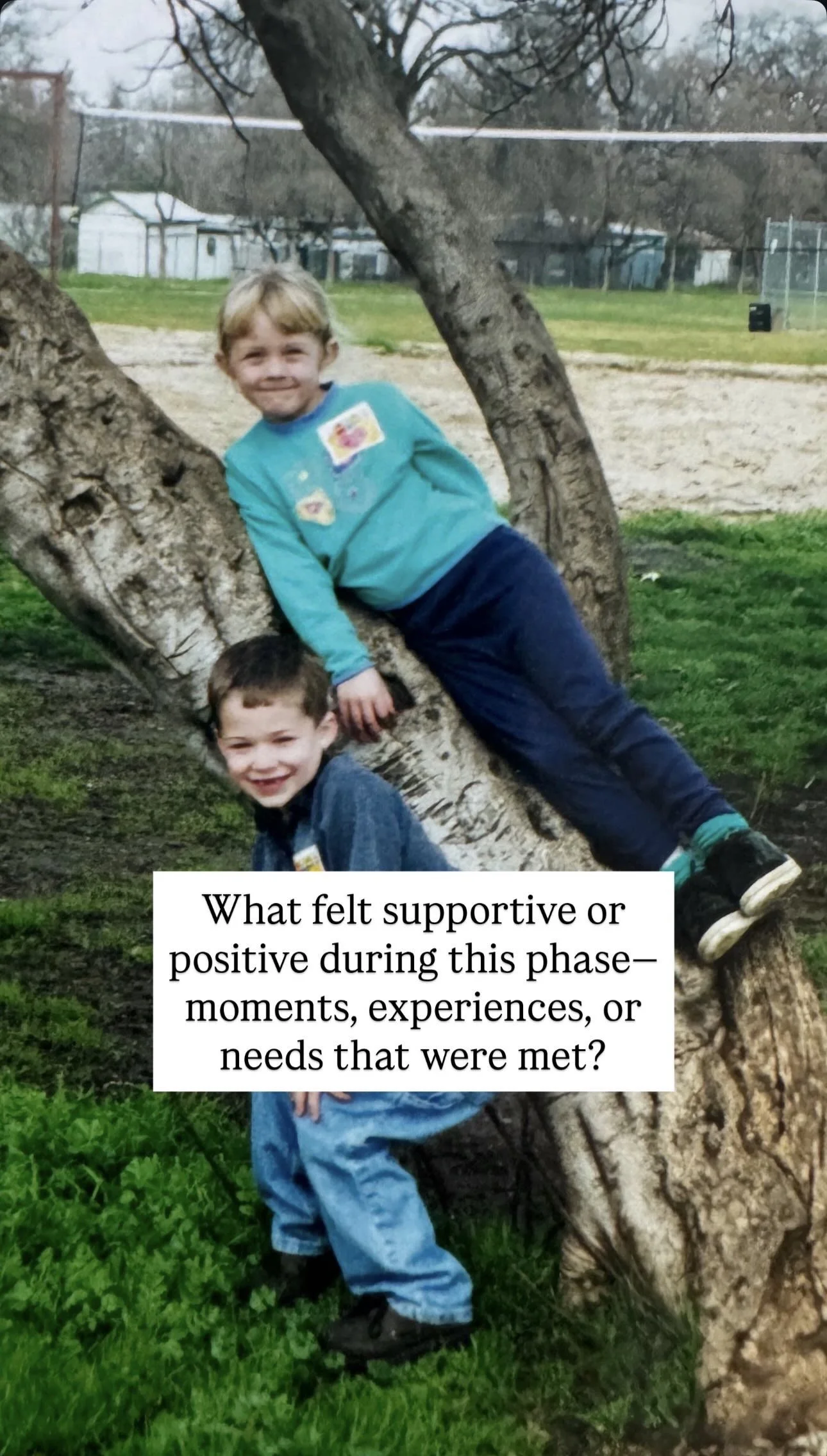 Two young boys are playing on a tree in a park. One boy is sitting on a branch while the other is standing underneath, both smiling.