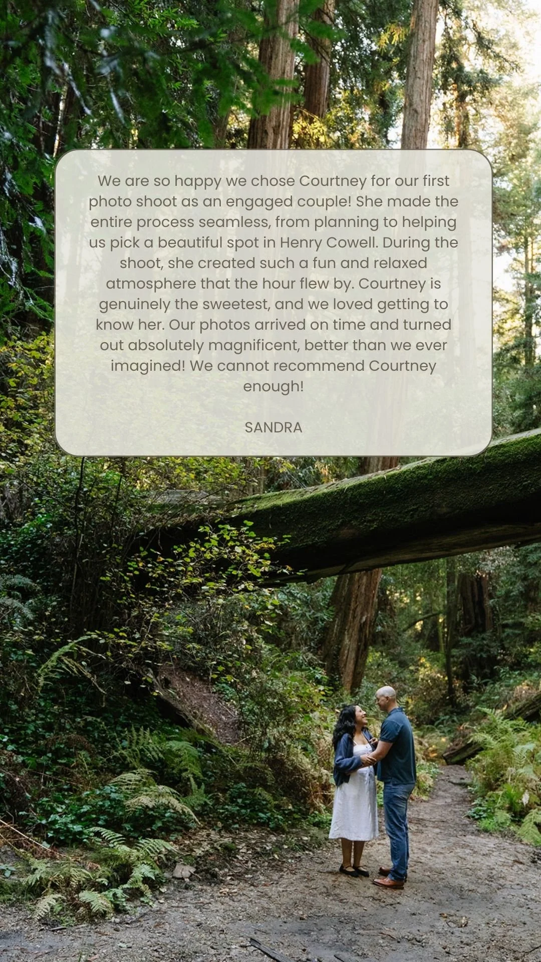 A couple holding hands and looking at each other in a forested area with tall trees and green foliage. A large fallen tree covers part of a trail, and sunlight filters through the canopy.