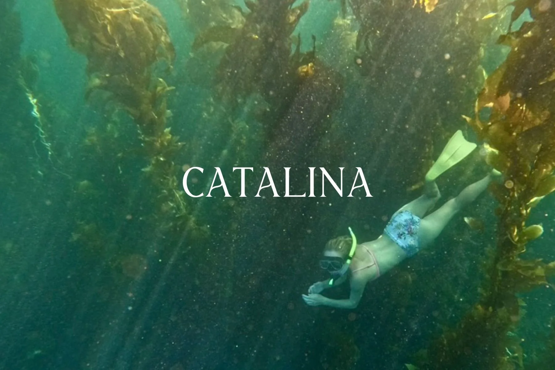 A person snorkeling underwater among kelp, wearing a snorkel mask, fins, and swim trunks, with the name 'CATALINA' overlayed.