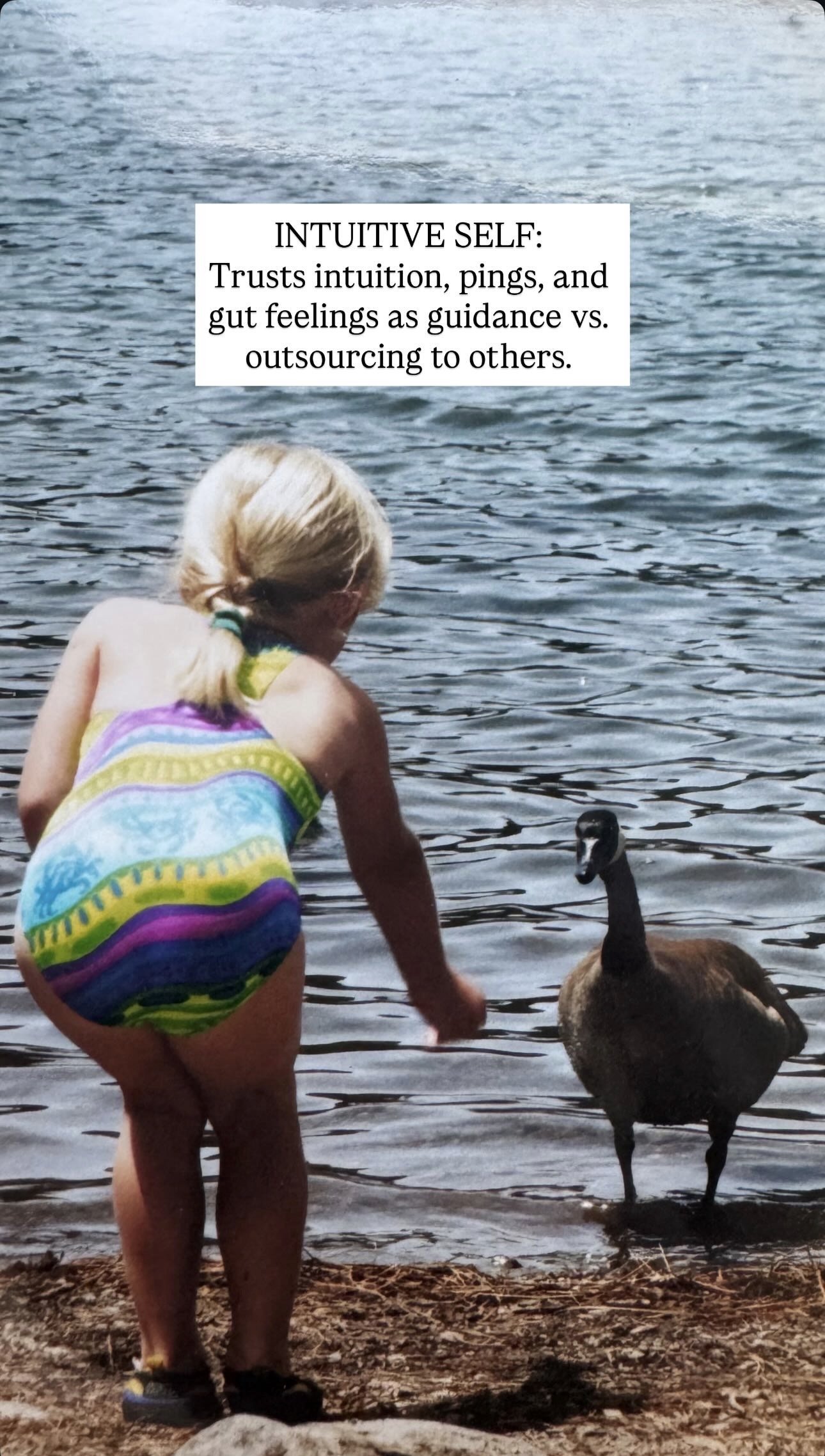 A young girl in a colorful swimsuit feeding a black swan by a lake.