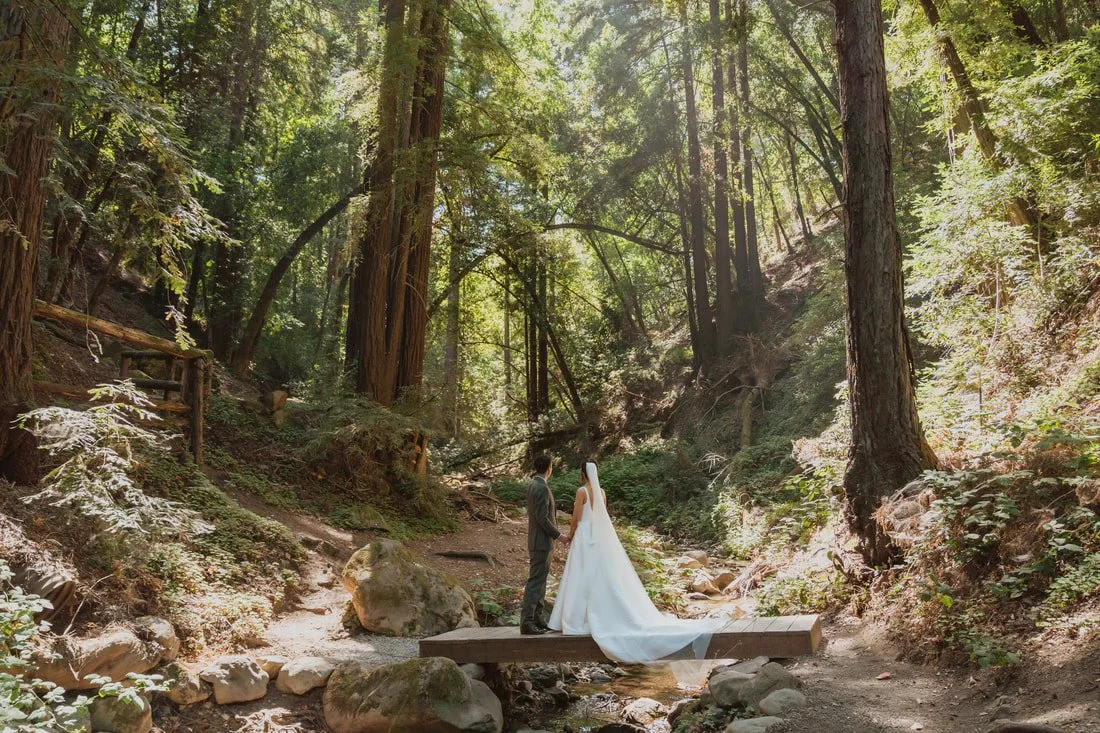 A bride and groom stand on a small wooden bridge in a forest, holding hands. The bride wears a white wedding dress, and the groom is dressed in a suit. Sunlight filters through tall trees surrounding them.