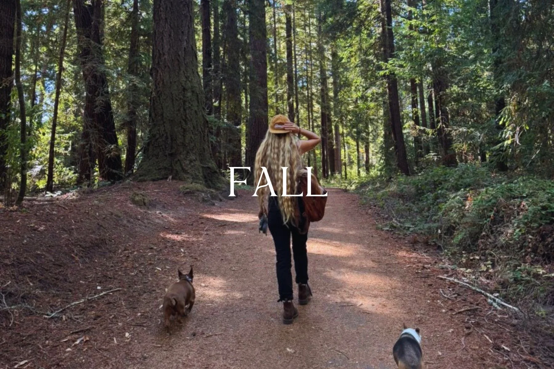 A woman walking on a dirt trail in a forest during fall, accompanied by two dogs. The woman has long blonde hair, is wearing a hat, a brown jacket, and black pants. The trees are tall with green foliage.