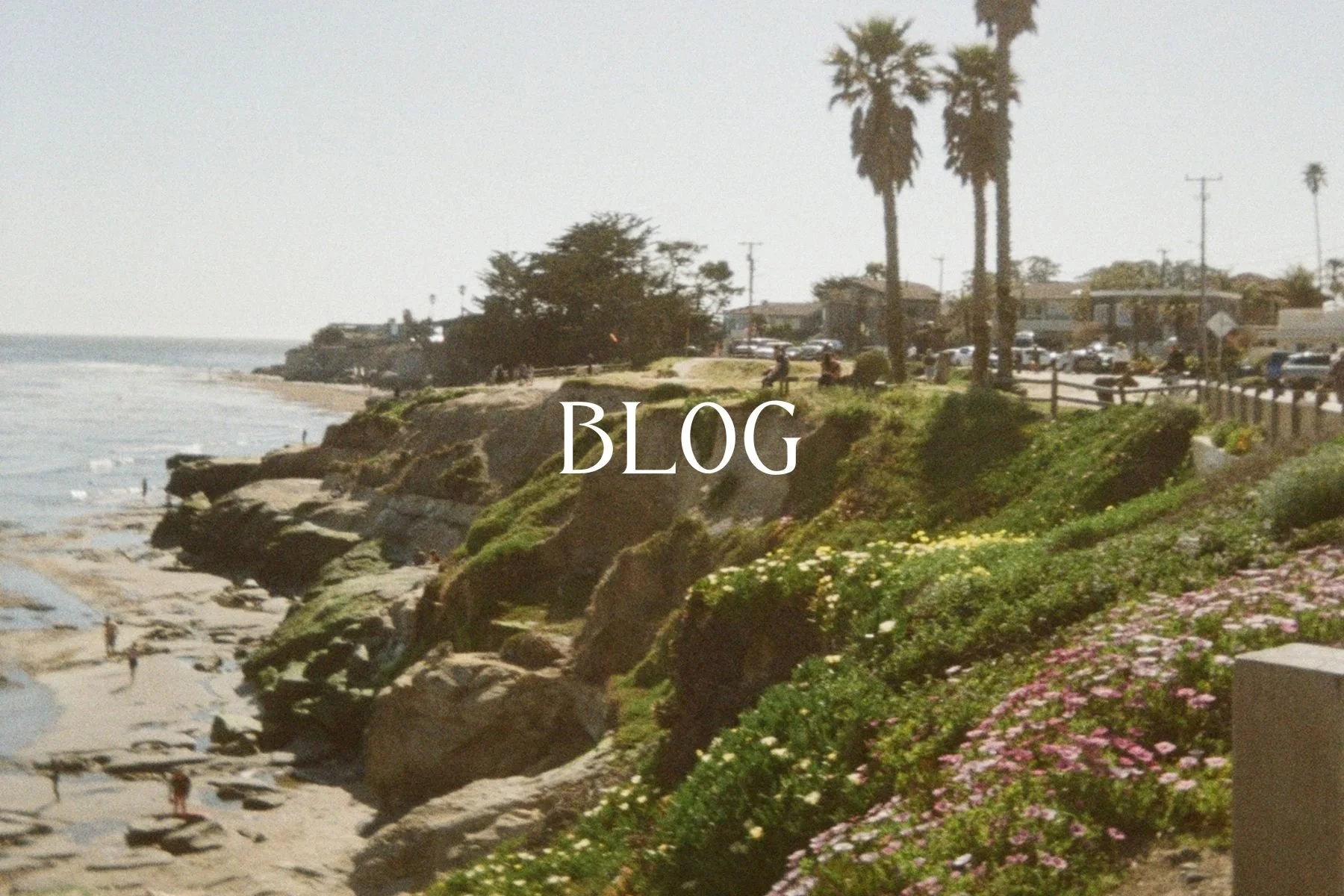 Santa Cruz based wedding, couple's, engagement, maternity and business photographer