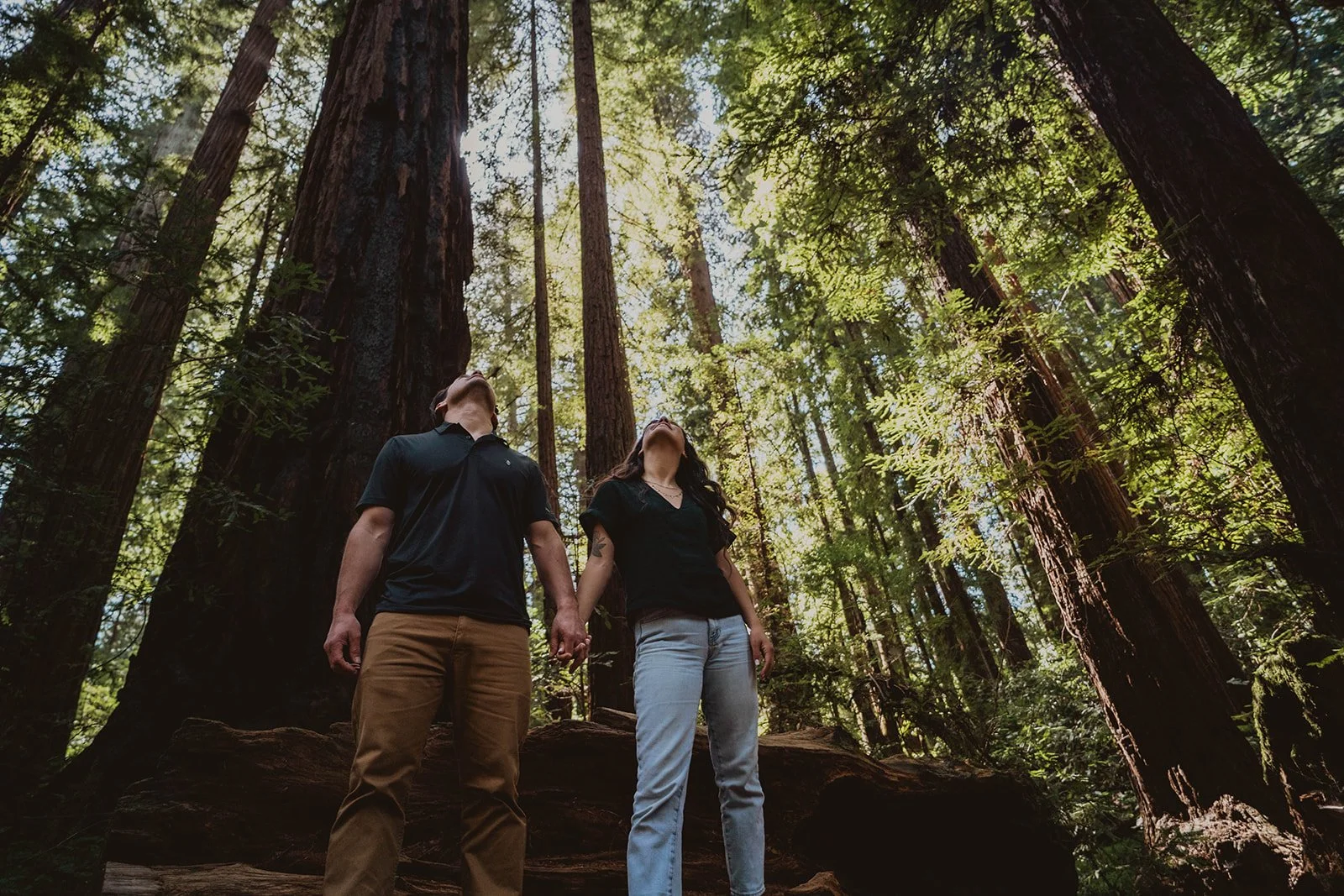 A couple holding hands and looking up at tall trees in a redwood forest.