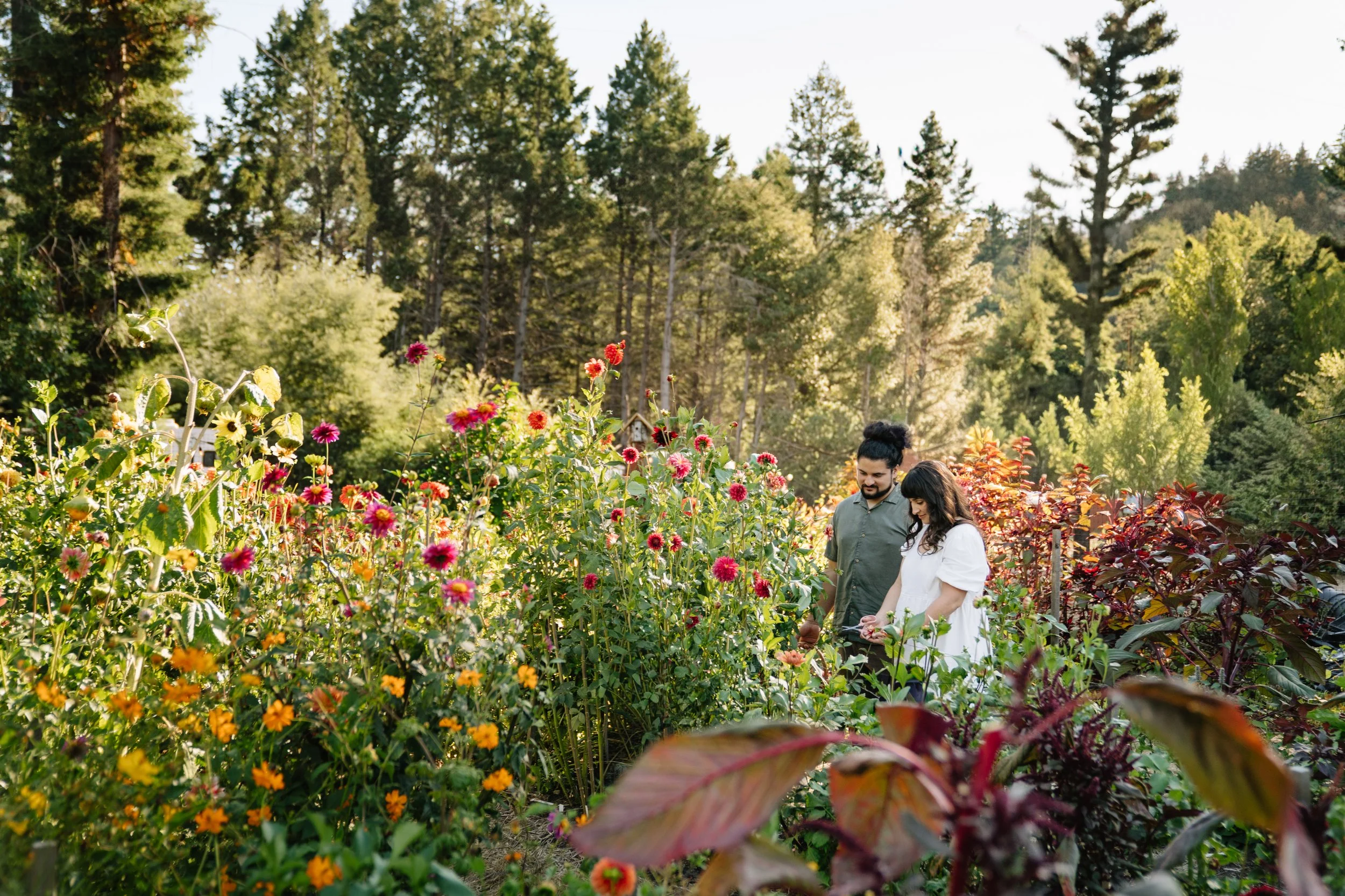 Two people in garden of blooming flowers with tall trees and sunlight in background.
