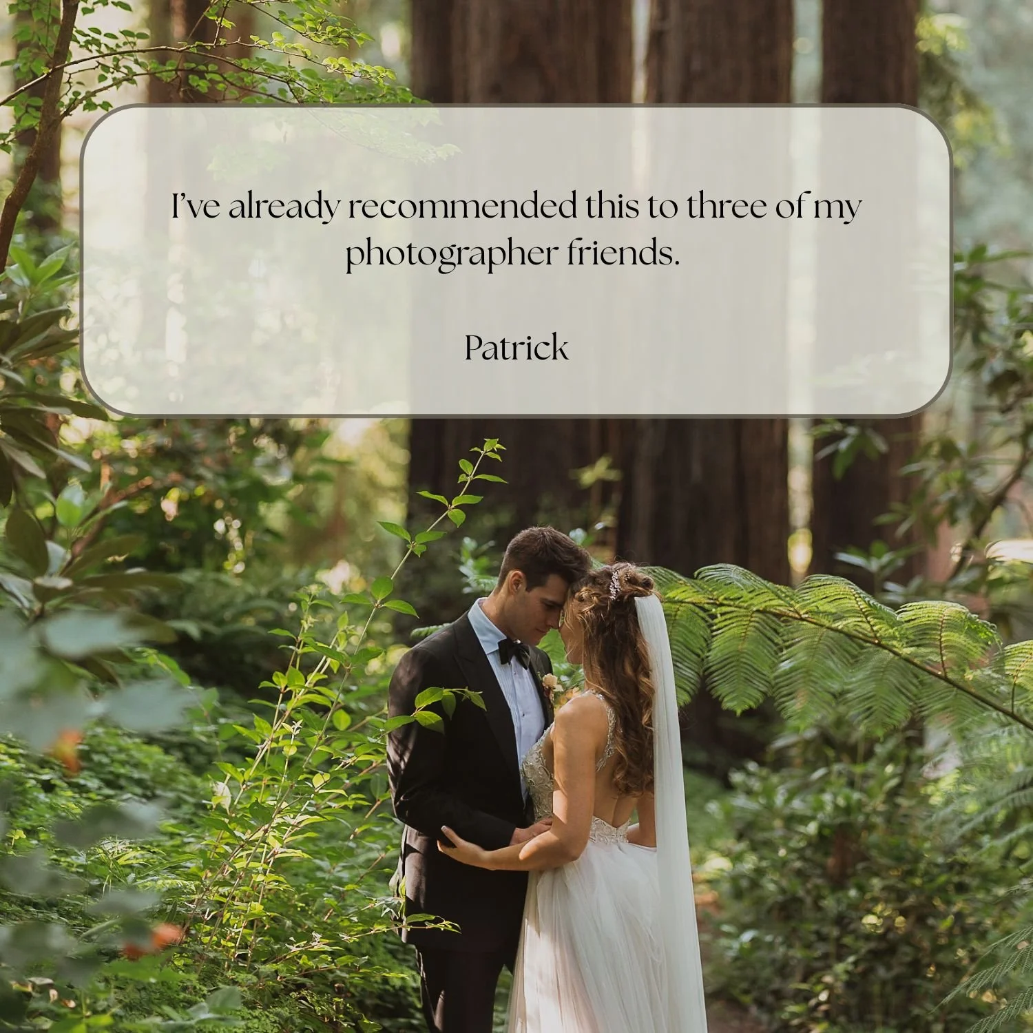 A bride and groom standing close together in a forest, holding hands, with the bride wearing a white wedding gown and veil and the groom in a black tuxedo, surrounded by green foliage and tall trees.
