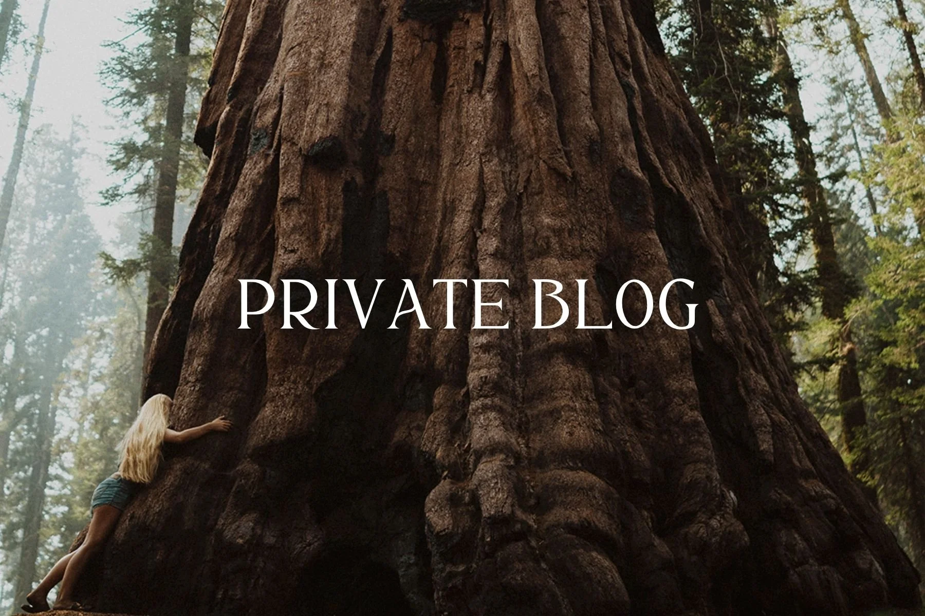 Santa Cruz photographer hugging a California redwood