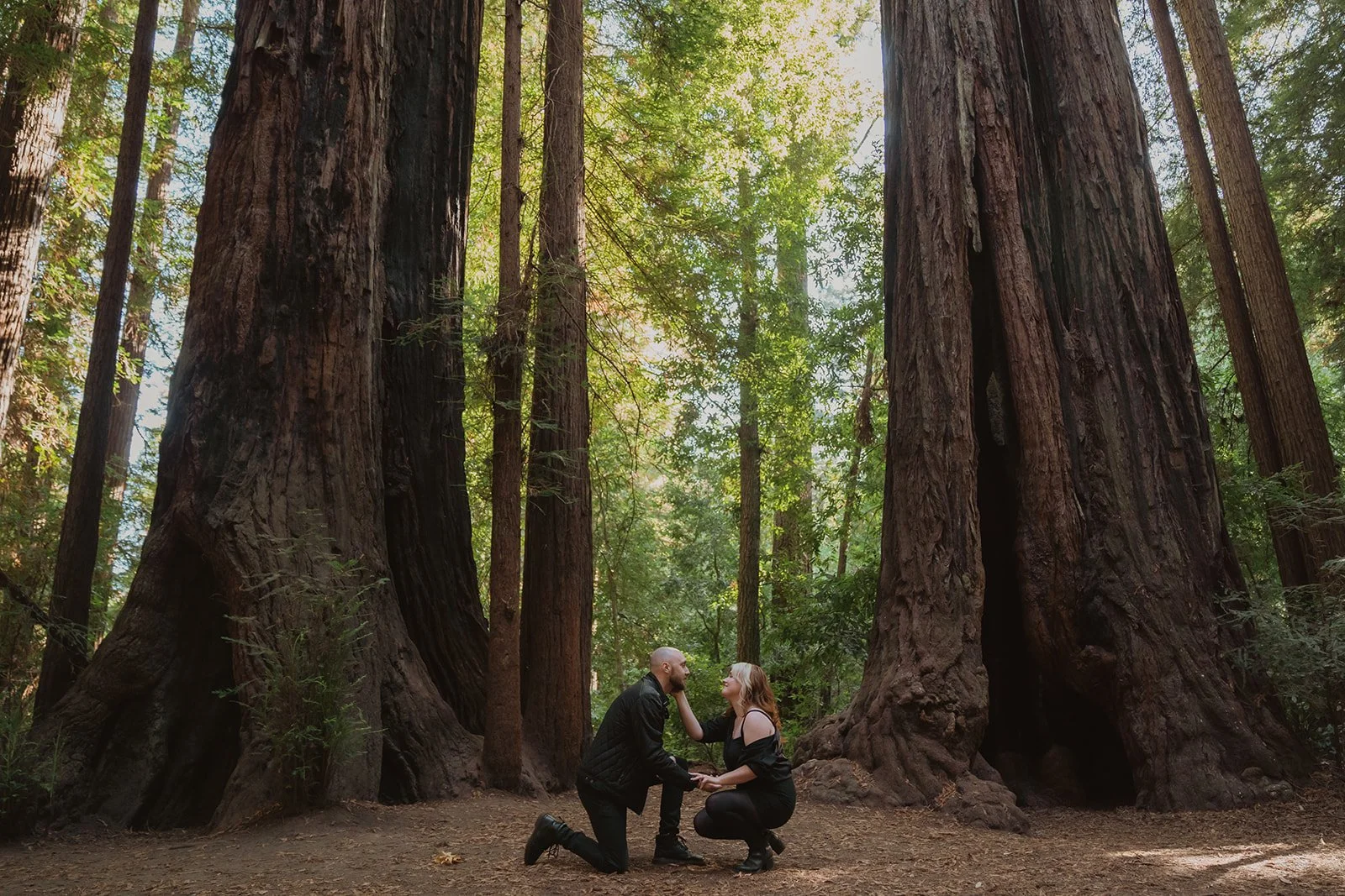 A couple is engaged in a marriage proposal inside a forest with towering redwood trees, with the man kneeling and holding the woman's hands, both gazing at each other.