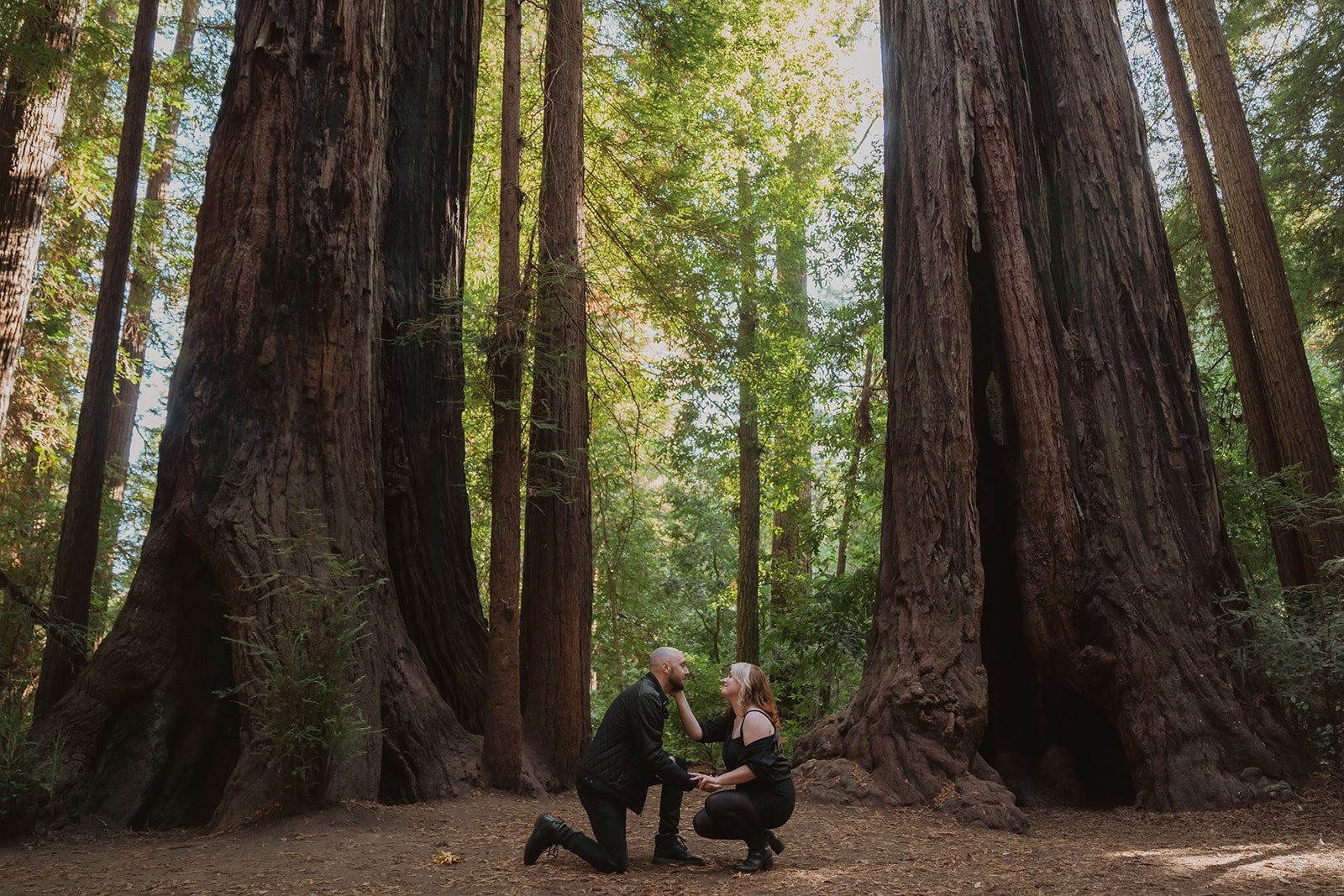 Romantic proposal photography session in Santa Cruz redwoods Henry Cowell