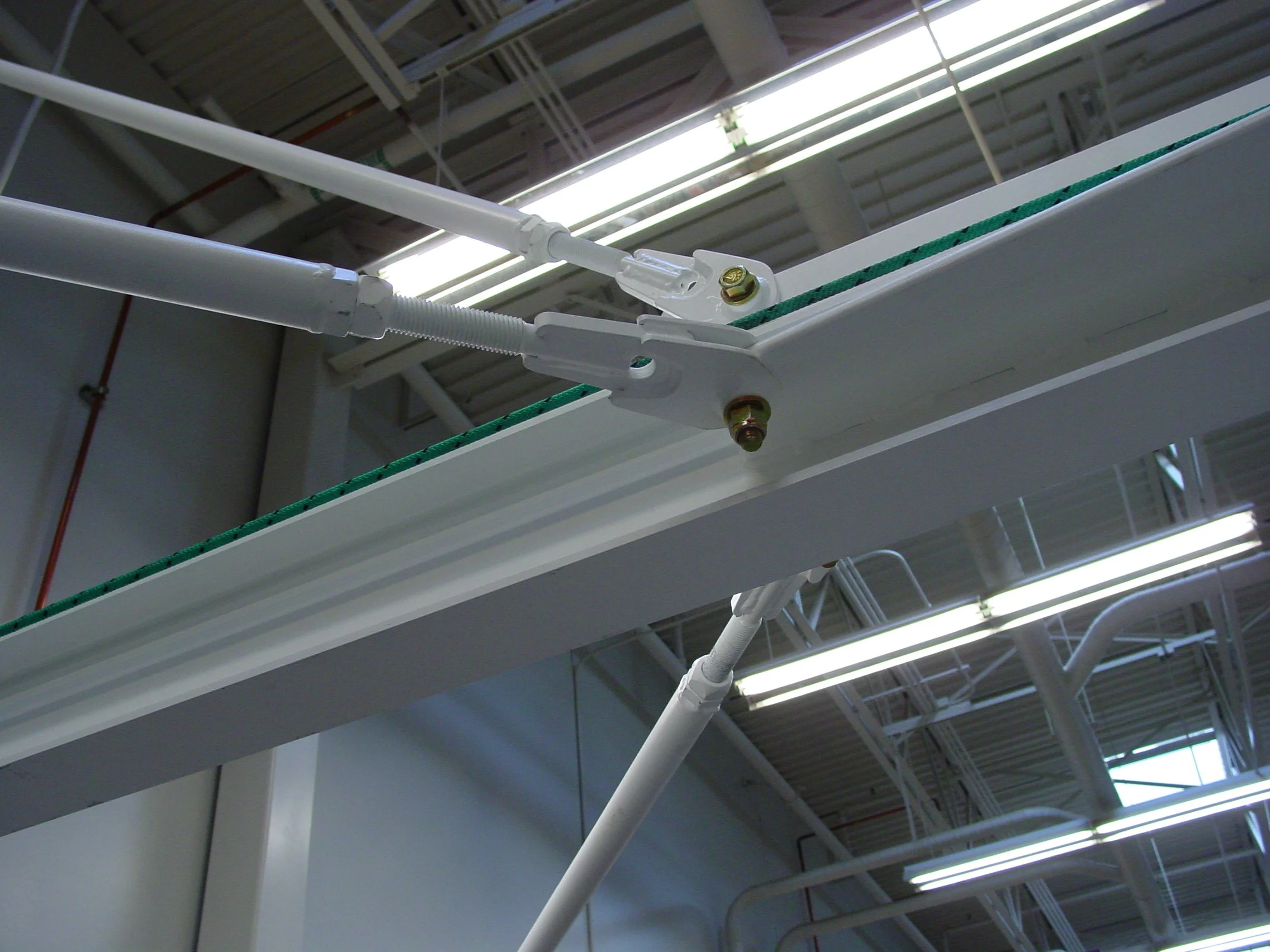 CowlitzFlume2010 073.jpg