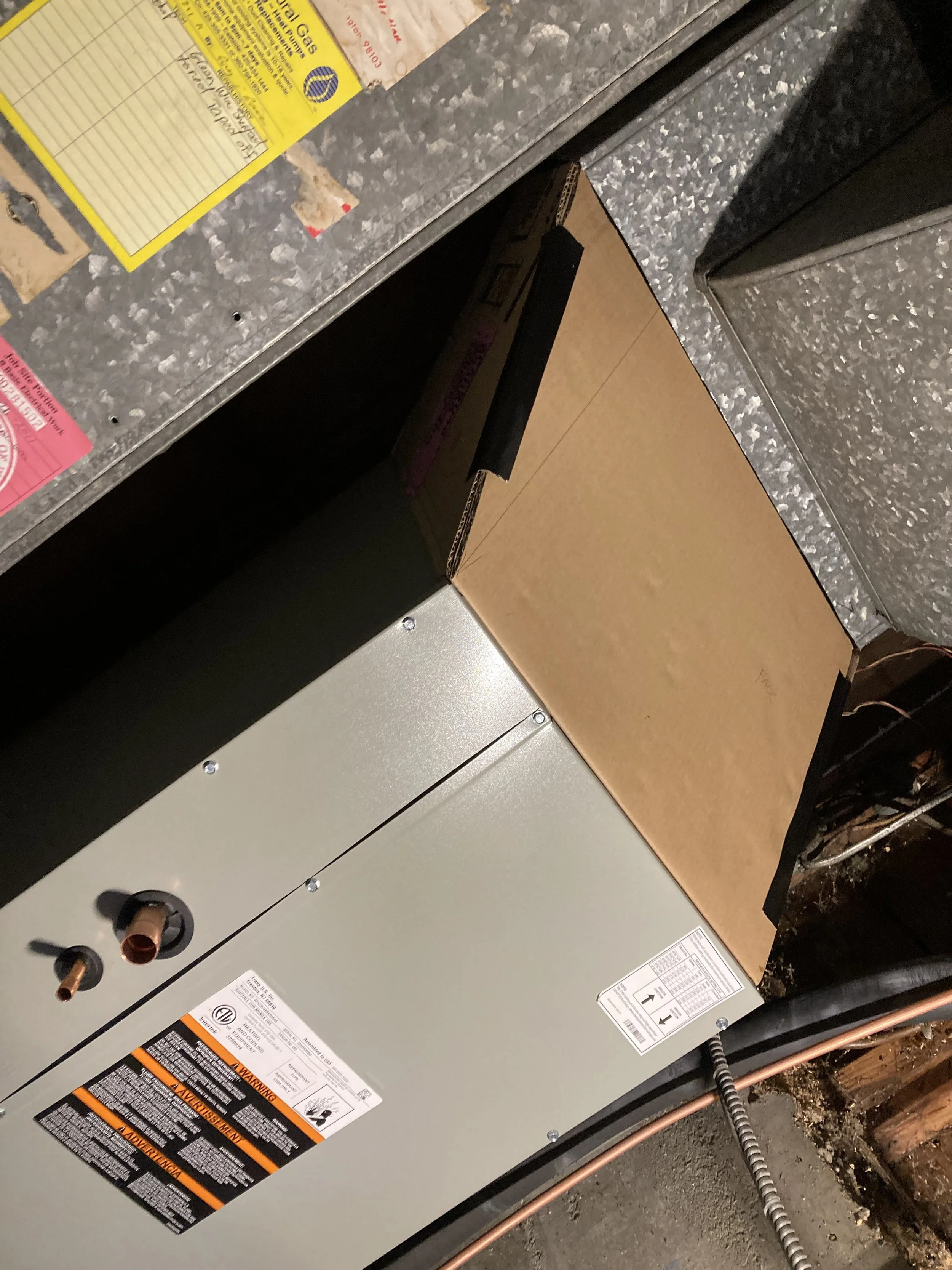 IMG_8626.jpeg