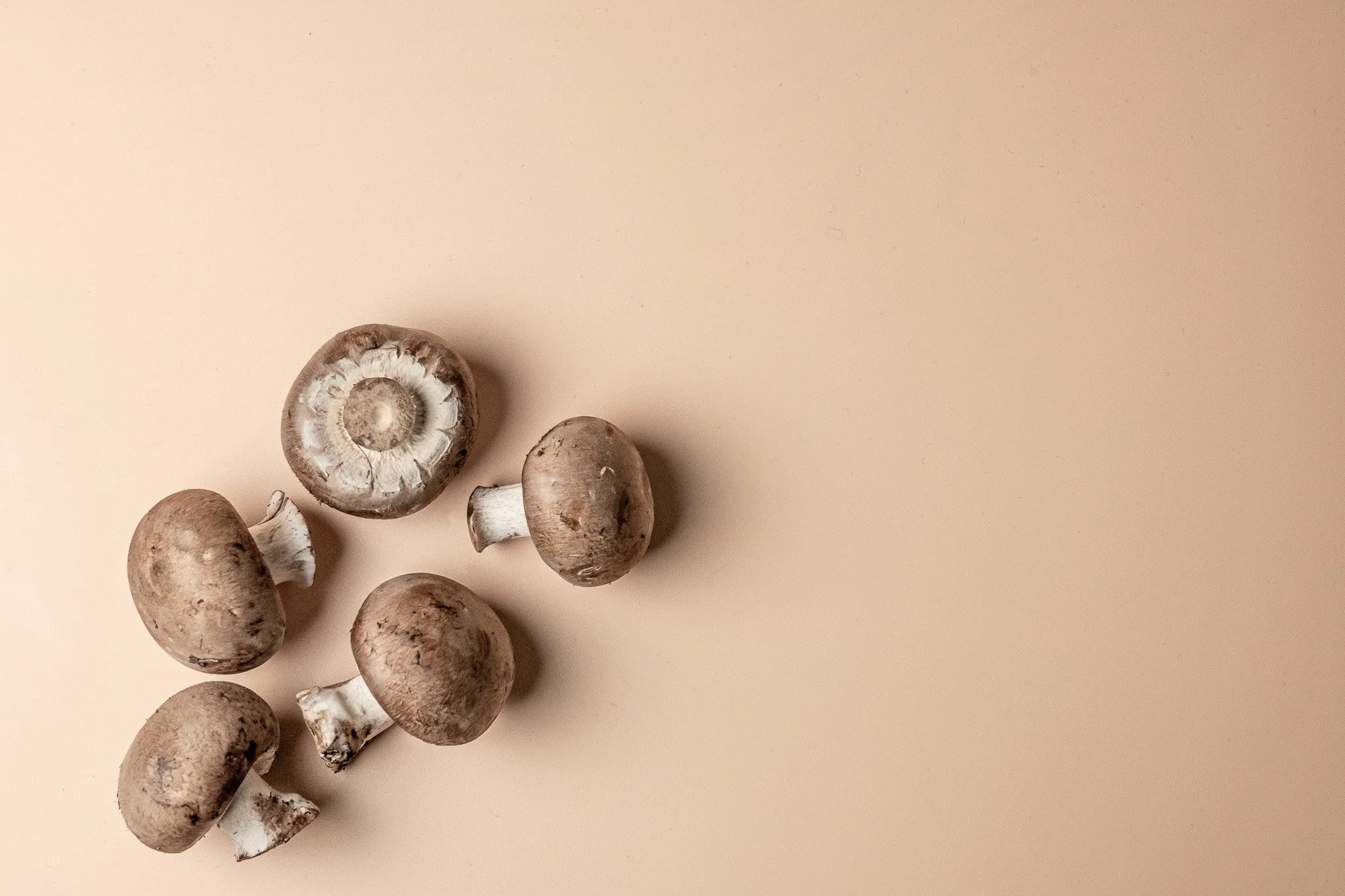 Six brown mushrooms with white stems, some cut open, on a beige background.