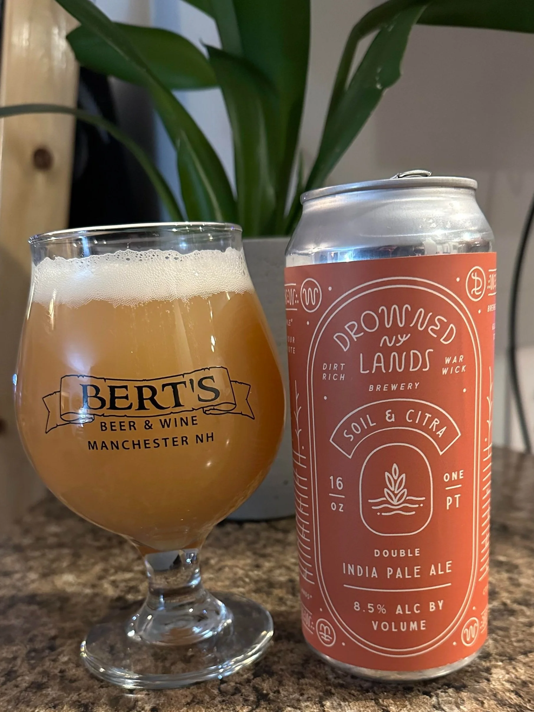 Beer Review: The Drowned Lands Soil &amp; Citra
