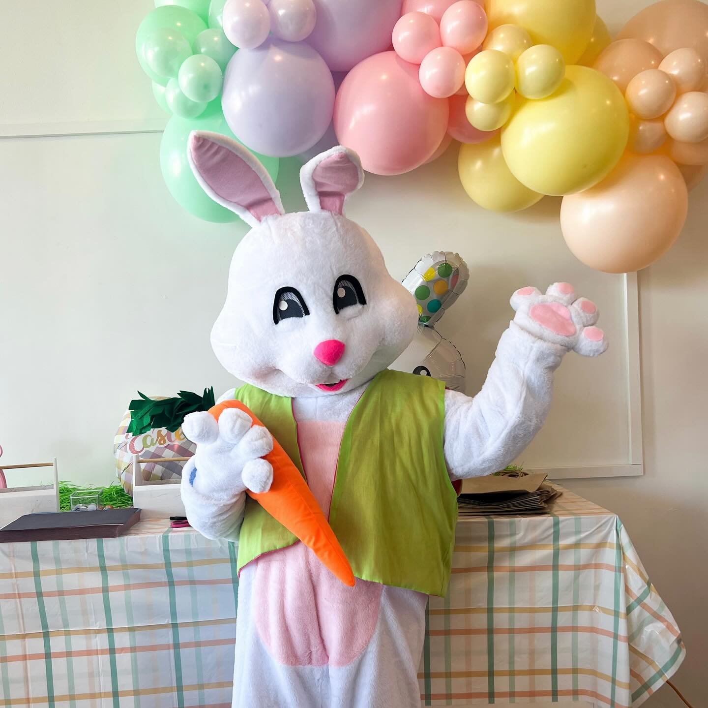 Breakfast with Bunny this morning was so fun!🐰🥕
Only a handful of spots left for Tot Easter event next weekend!
www.mikosplay.com/events