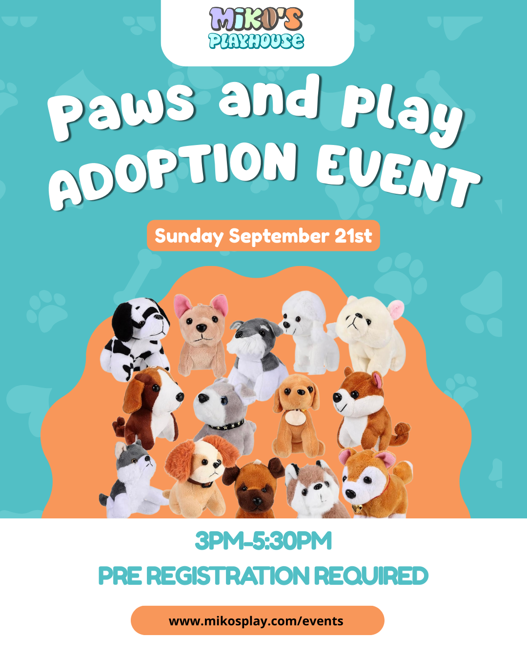 Paws and Play Adoption Event