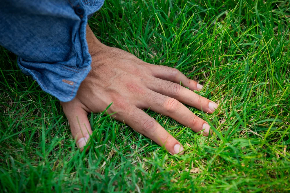 Sugarloaf_Highlights_Tyler Small_14.jpeg