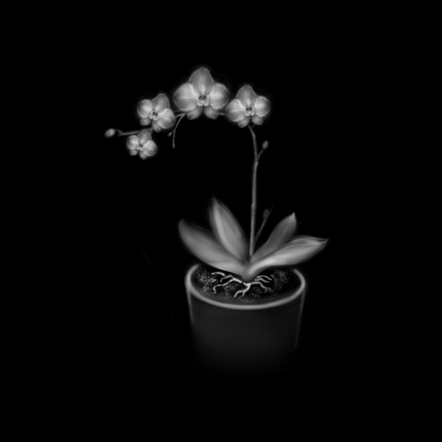 The memory of an orchid. Heavy was its burden.