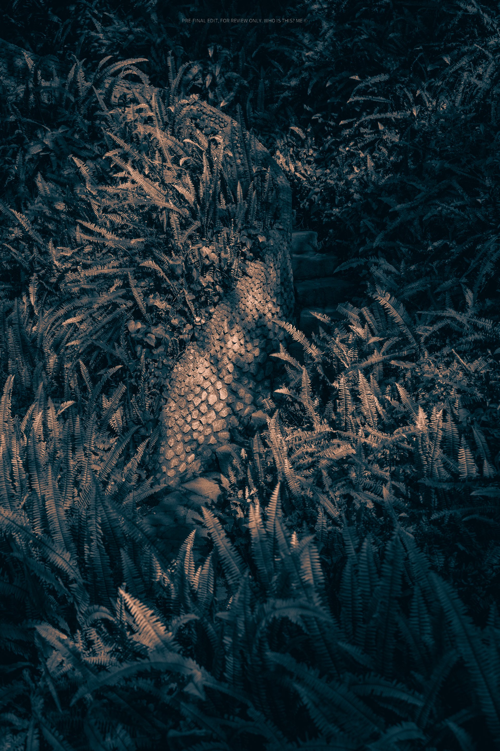 Portfolio-39.jpg
