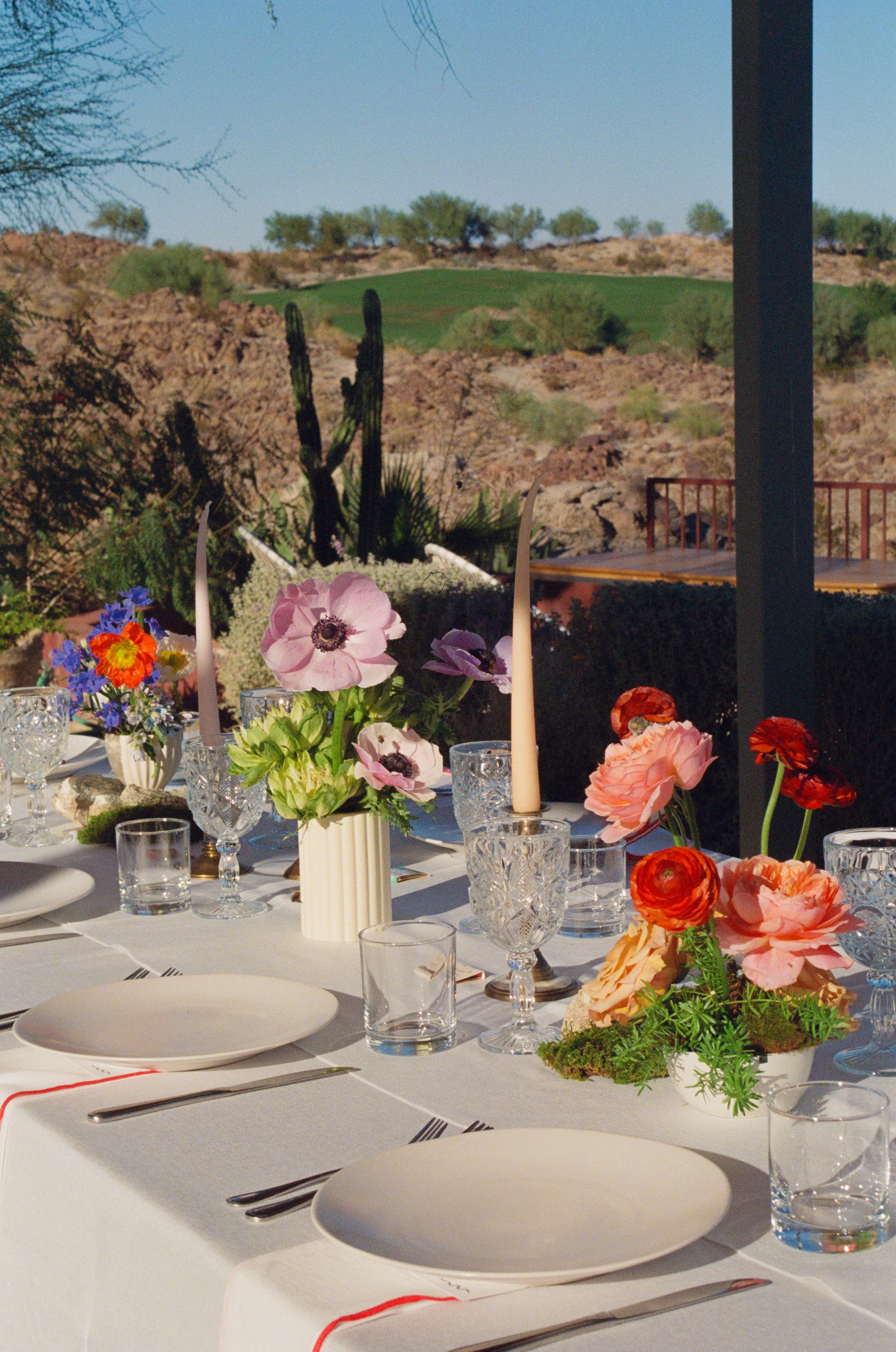Palm Springs Party