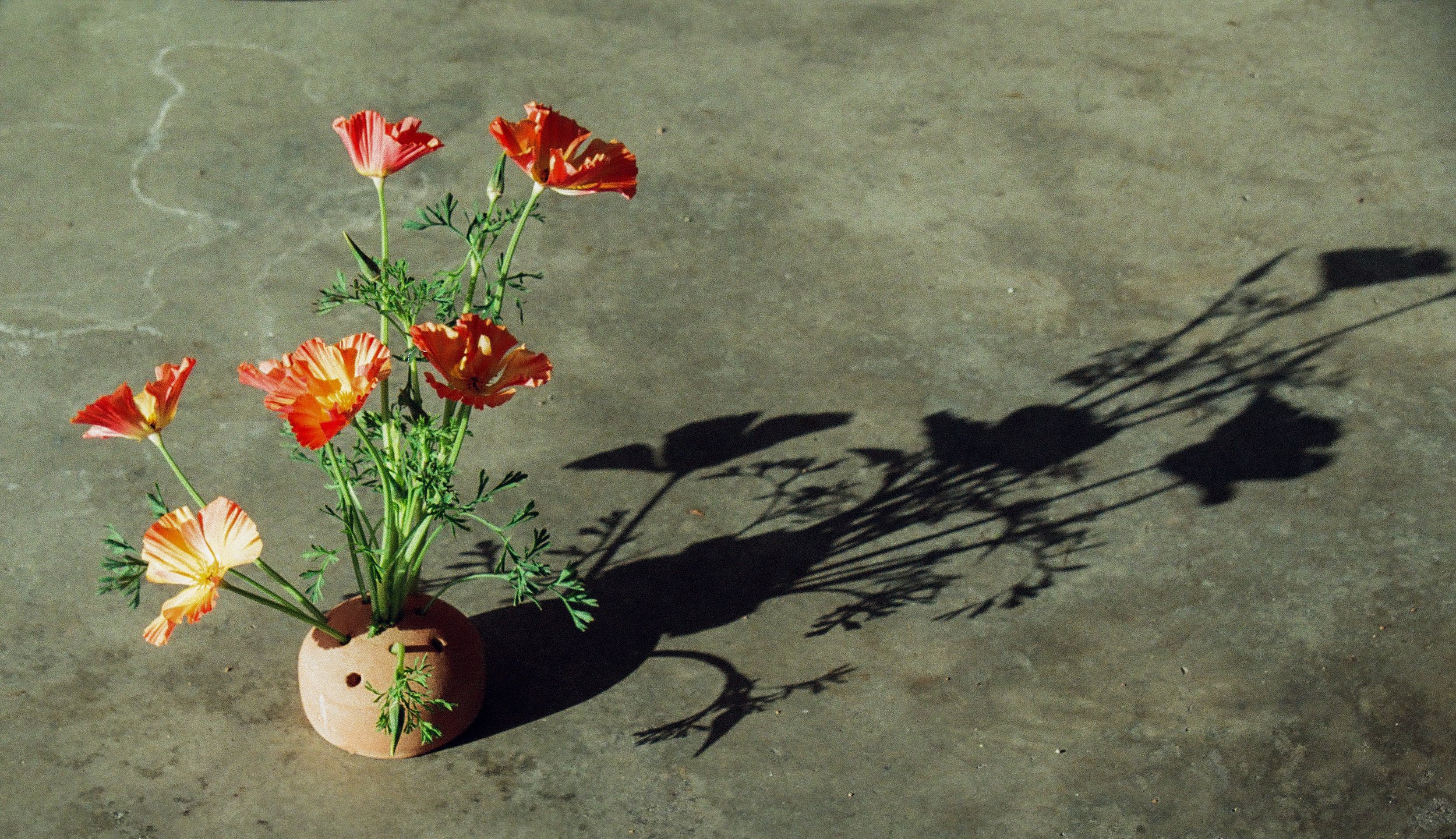 Berry Blooms April BTS Film_19.jpg