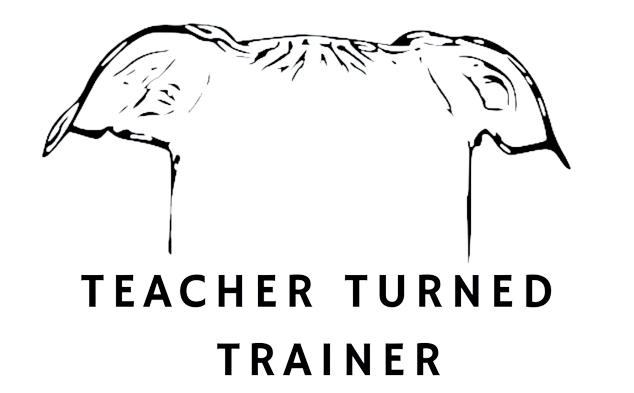 Teacher Turned Trainer- Basic Dog Training